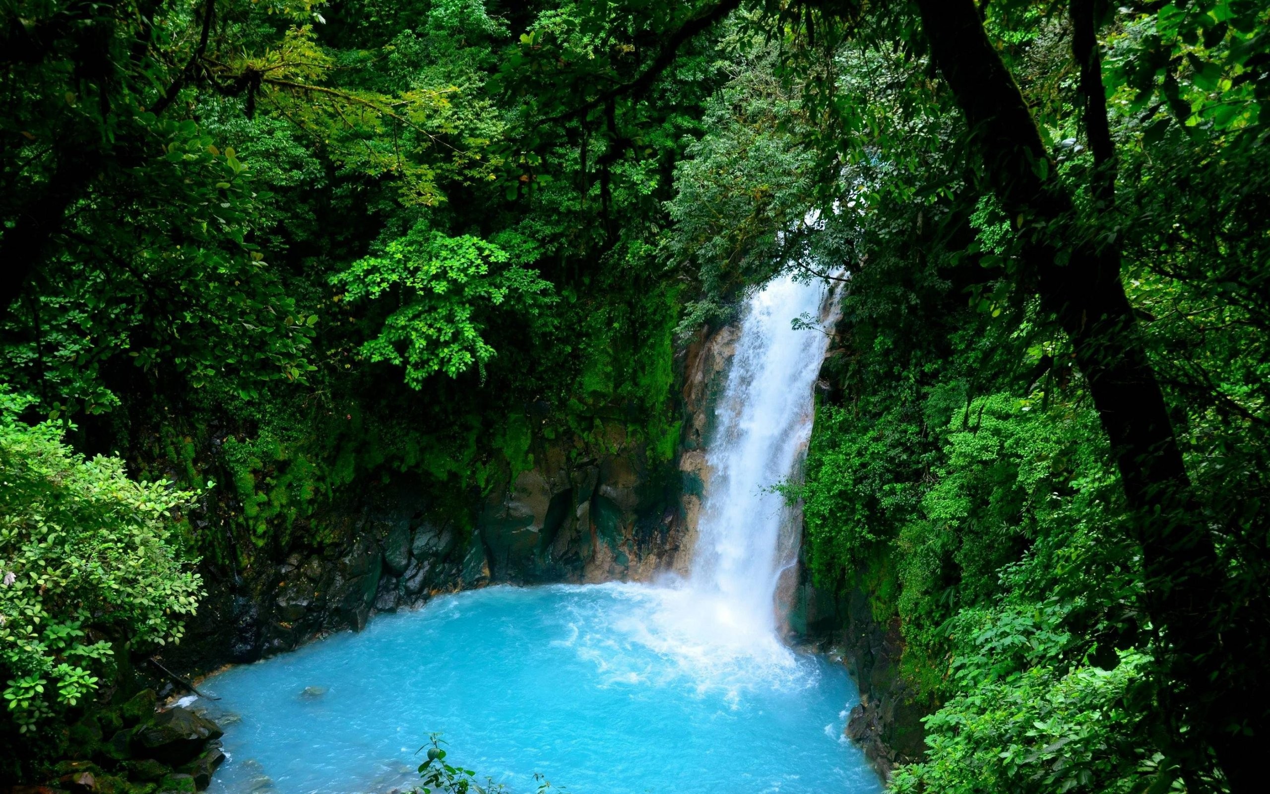 Waterfall Trees Nature Water Clear Water Cyan Green Forest Wet 2560x1600