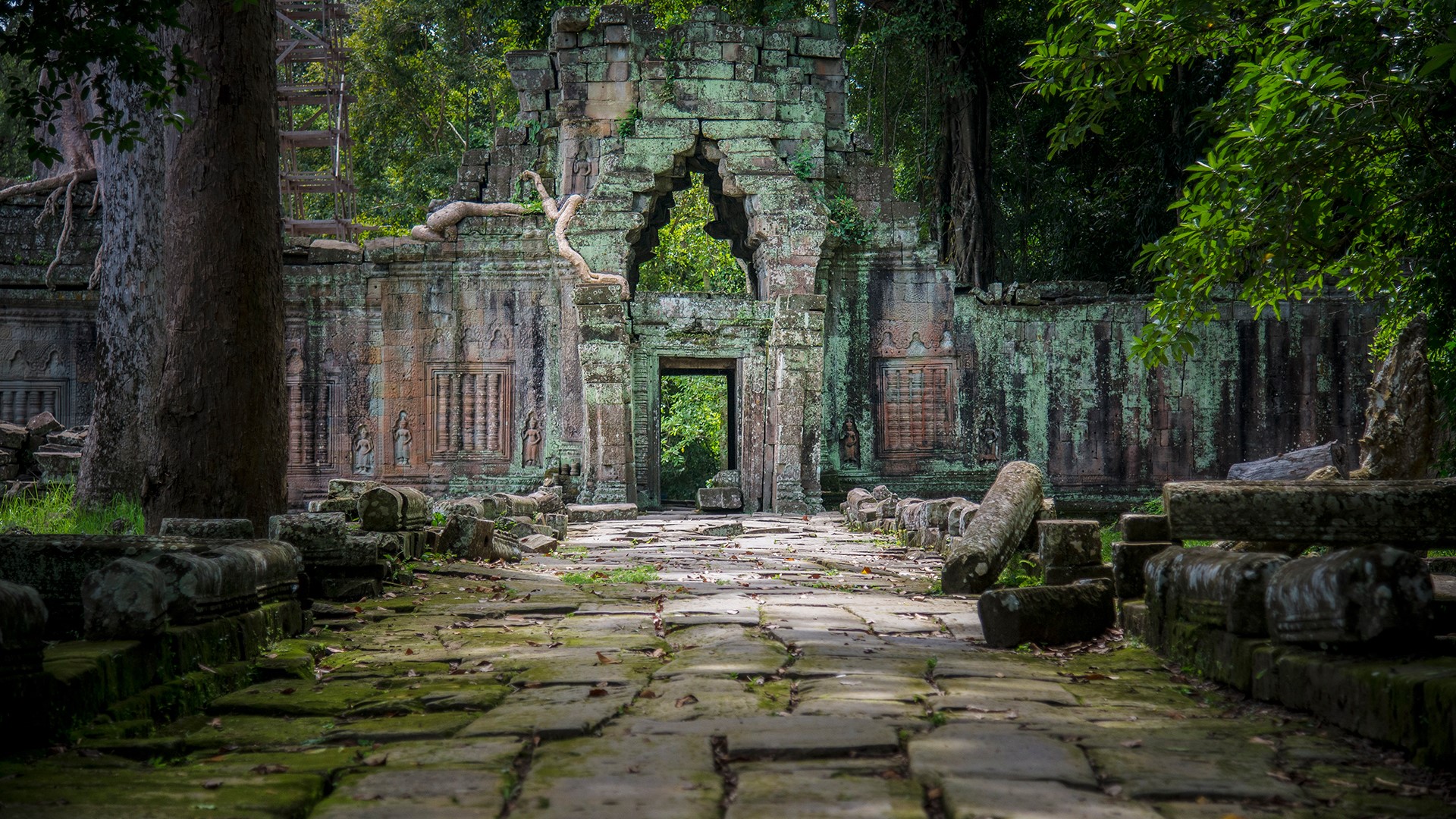 Trees Leaves Moss Rocks Plants Walkway Temple Cambodia Roots Ancient Ruins 1920x1080