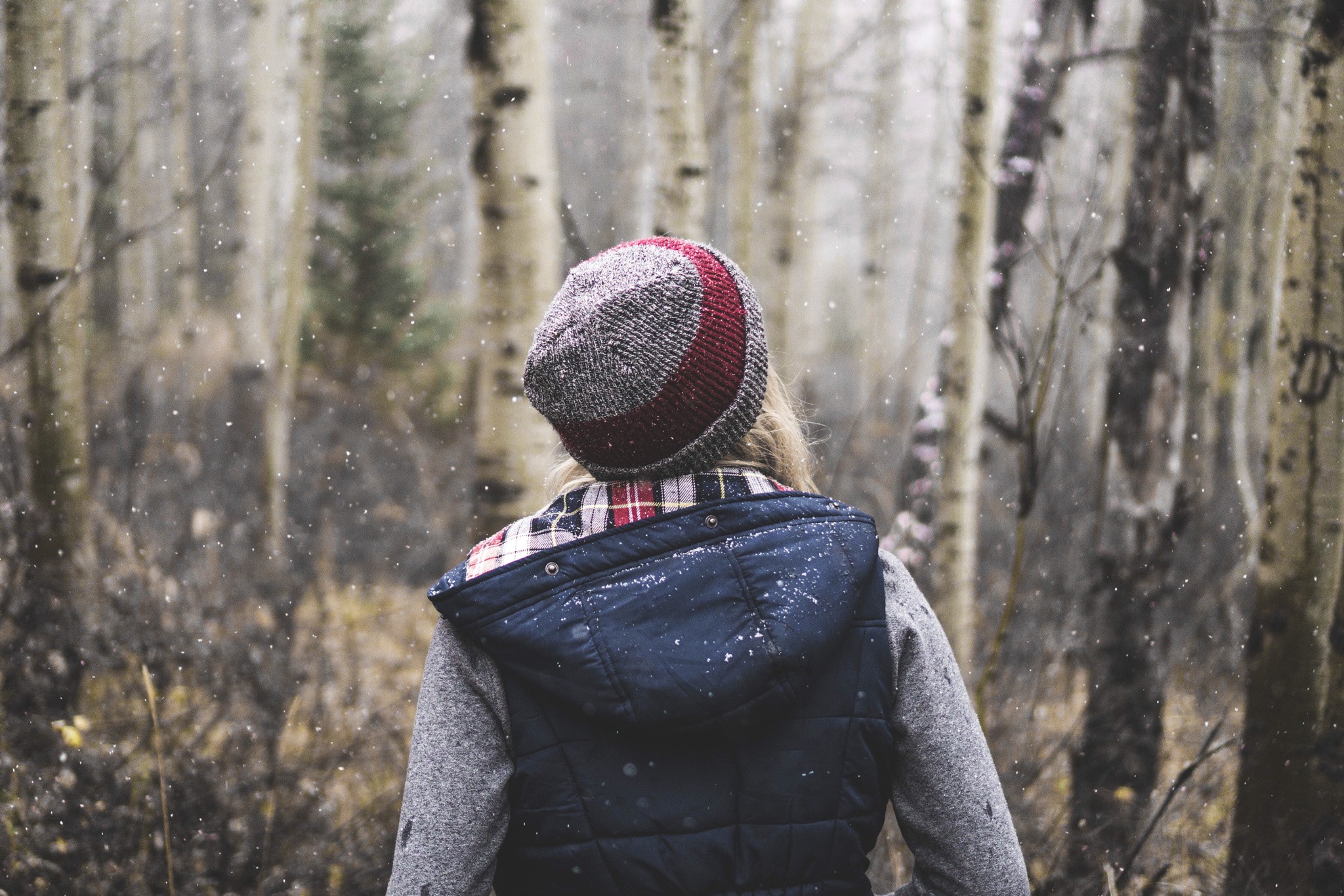 Women Looking Away Trees Alone Solice Snowing Women Outdoors Birch Forest 2048x1366