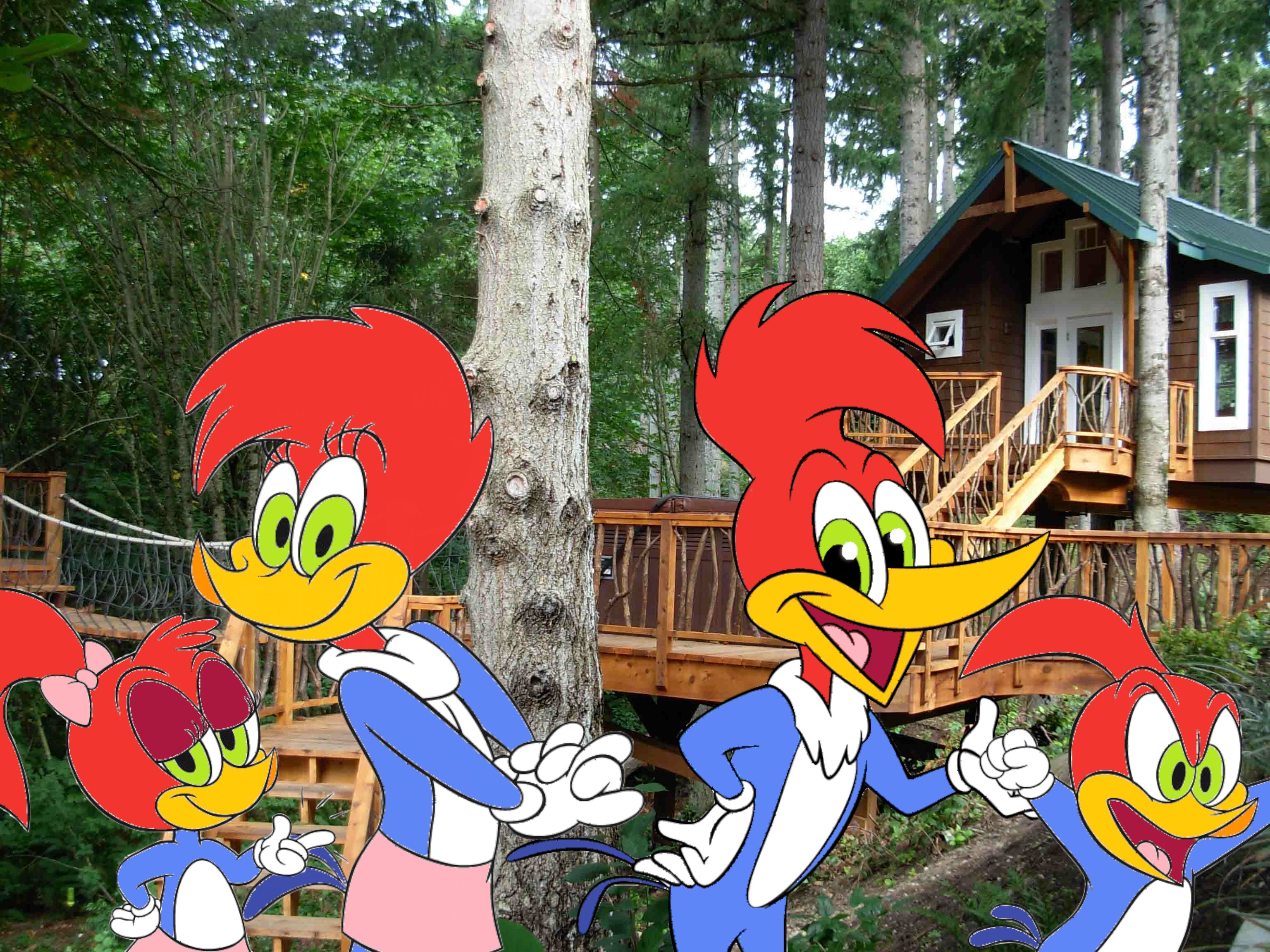 Woody Woodpecker 3072x2304