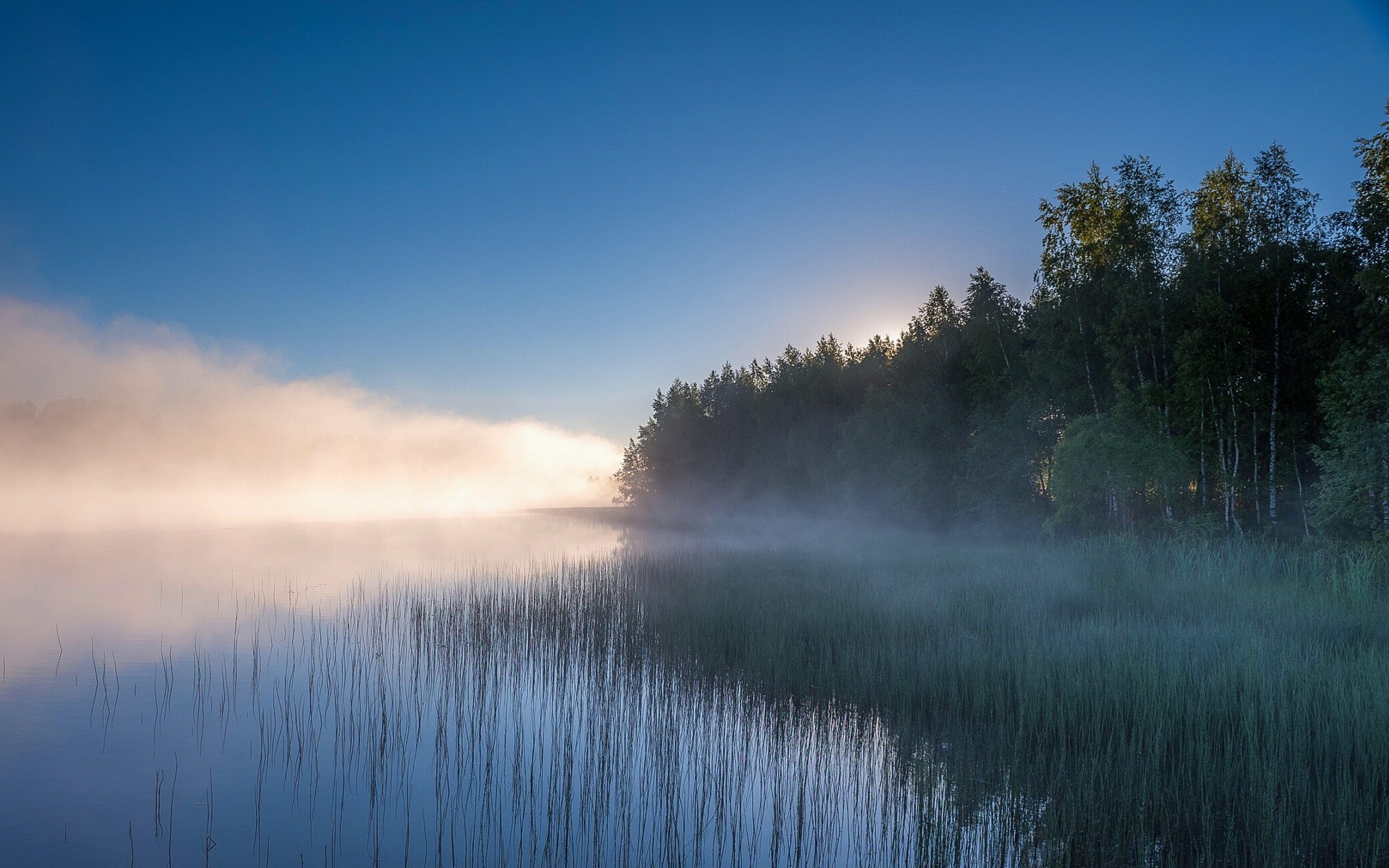 Landscape Nature Lake Mist Forest Water Reeds Trees Russia 1920x1200