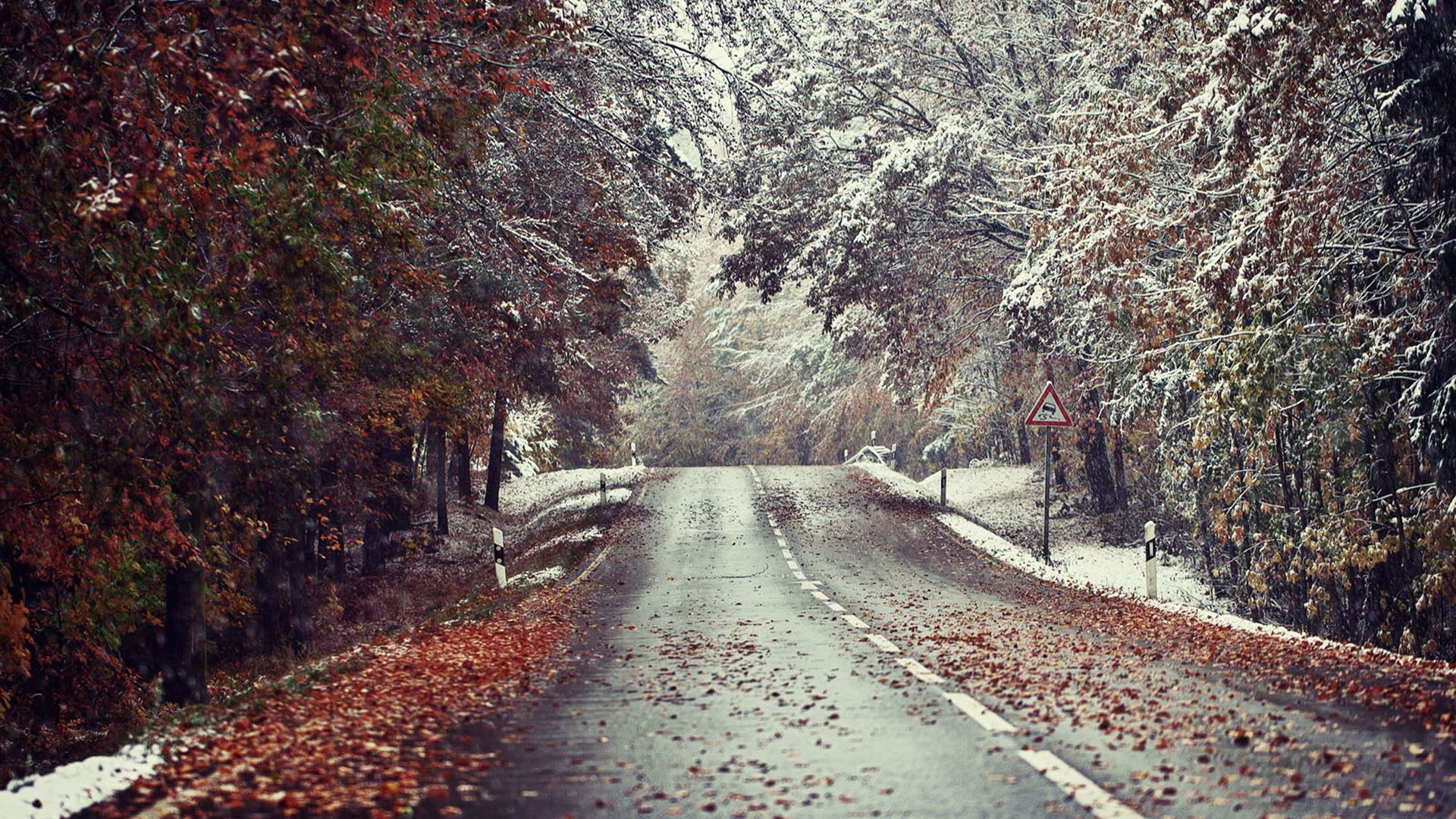 Winter Landscape Road Snow Leaves Fallen Leaves Wet Street Fall 1920x1080