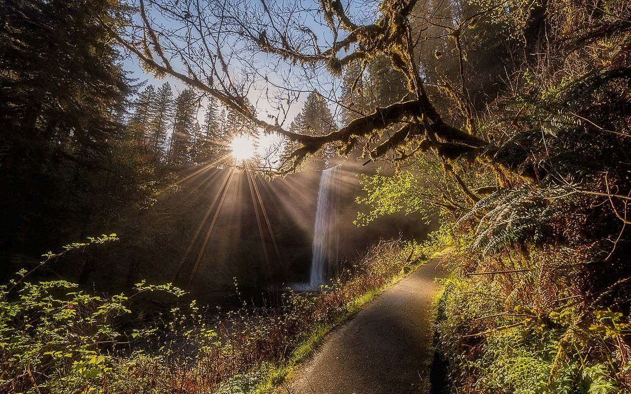 Nature Landscape Forest Waterfall Path Sun Rays Shrubs Trees Oregon 1230x768