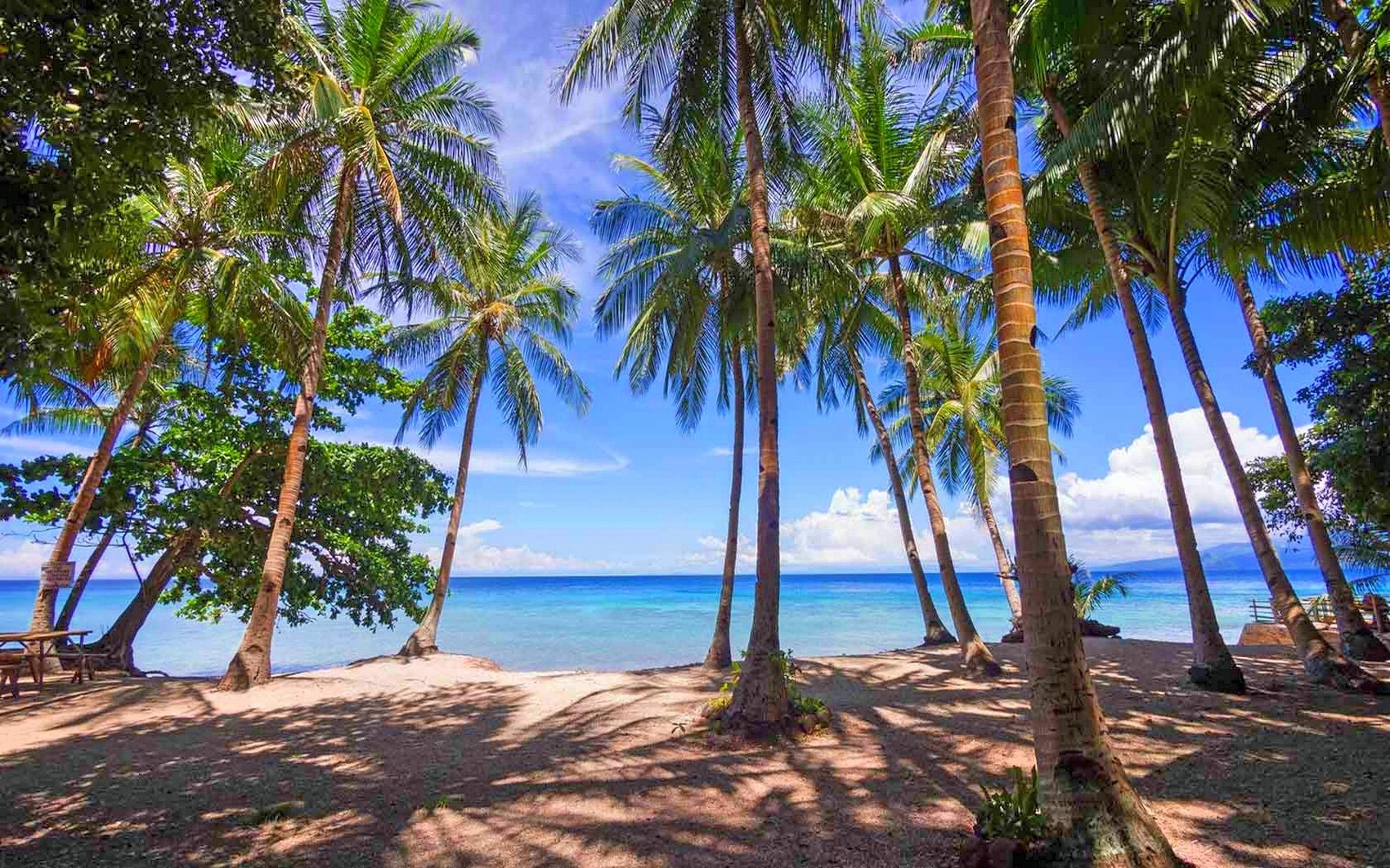 Photography Nature Landscape Palm Trees Beach Tropical Sea Sunlight Shadow Philippines Horizon Dappl 1700x1062