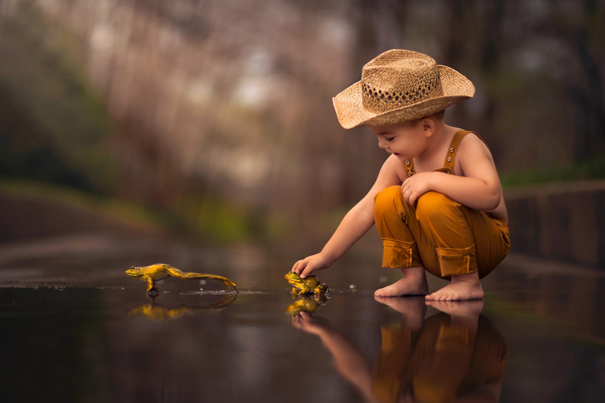 Child Boy Little Boy Reflection Frog Hat Depth Of Field Amphibian 2000x1333