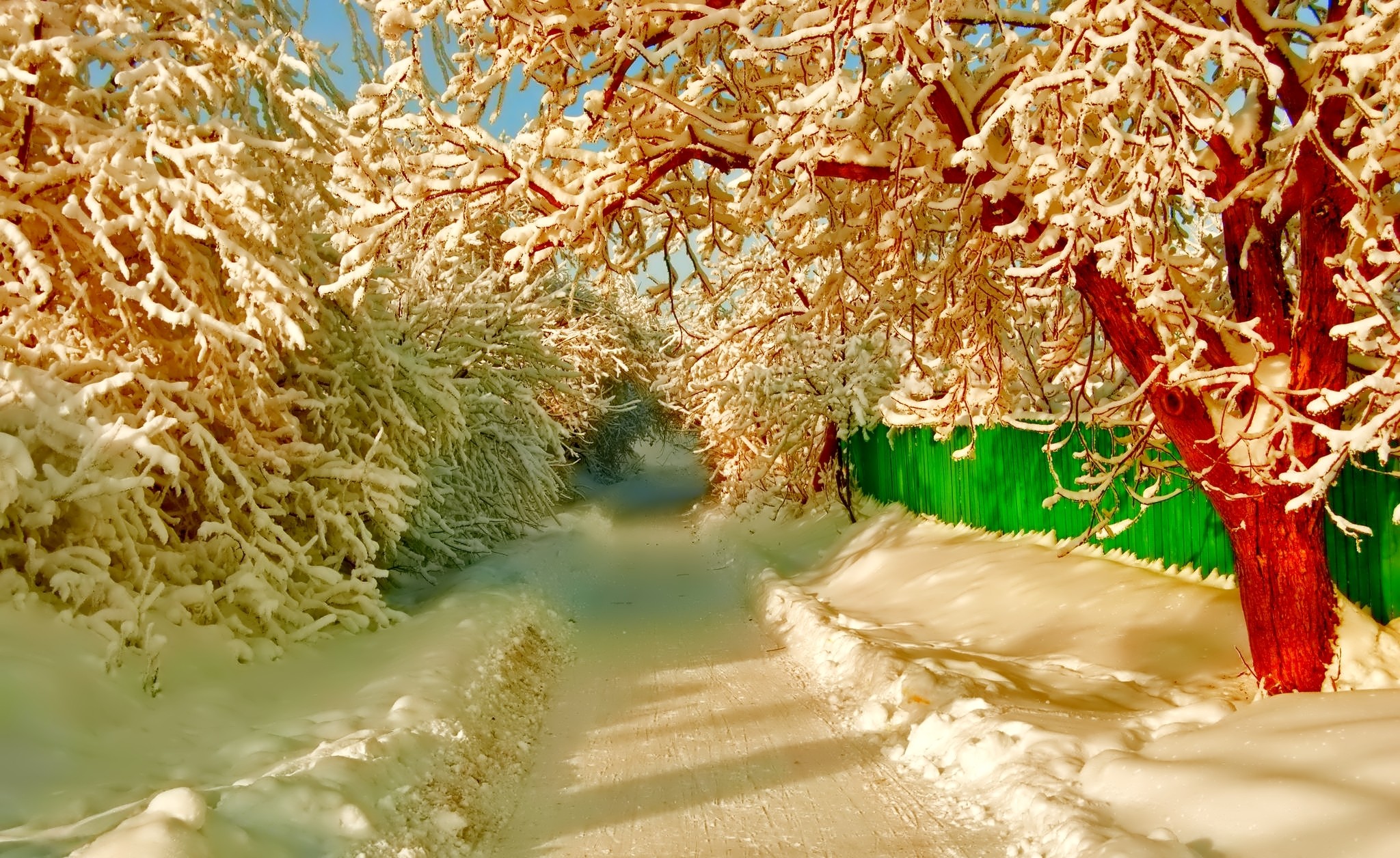 Winter Snow Fence Pathway Sunlight Path 2048x1256