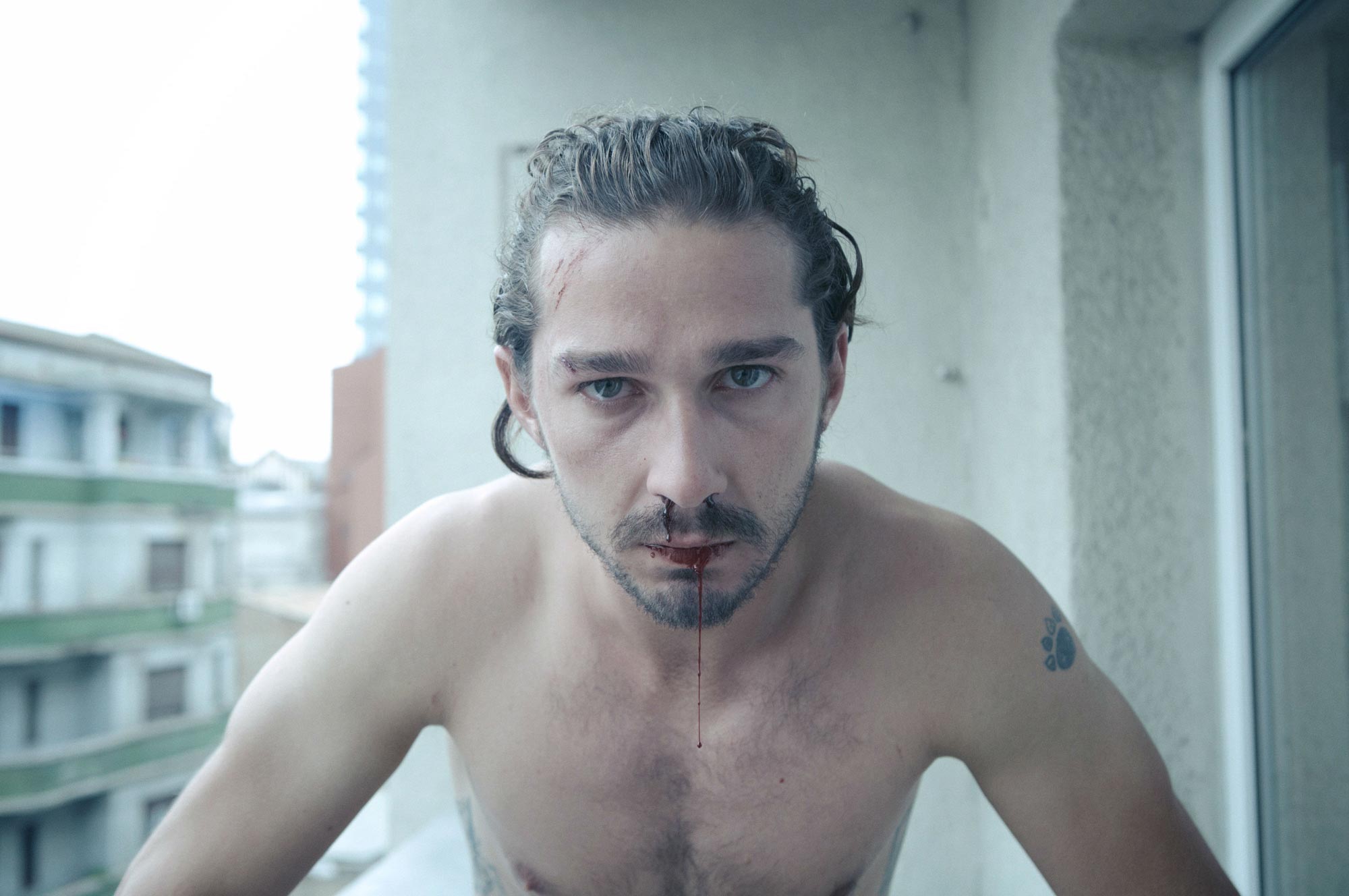 Shia Labeouf 2000x1328