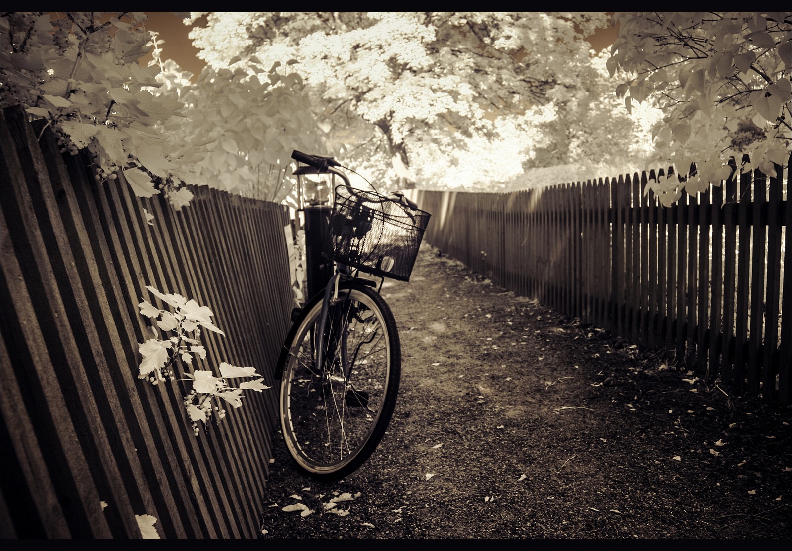 Bicycle Vehicle Outdoors Fence Sepia Pathway Path Gravel 1600x1114