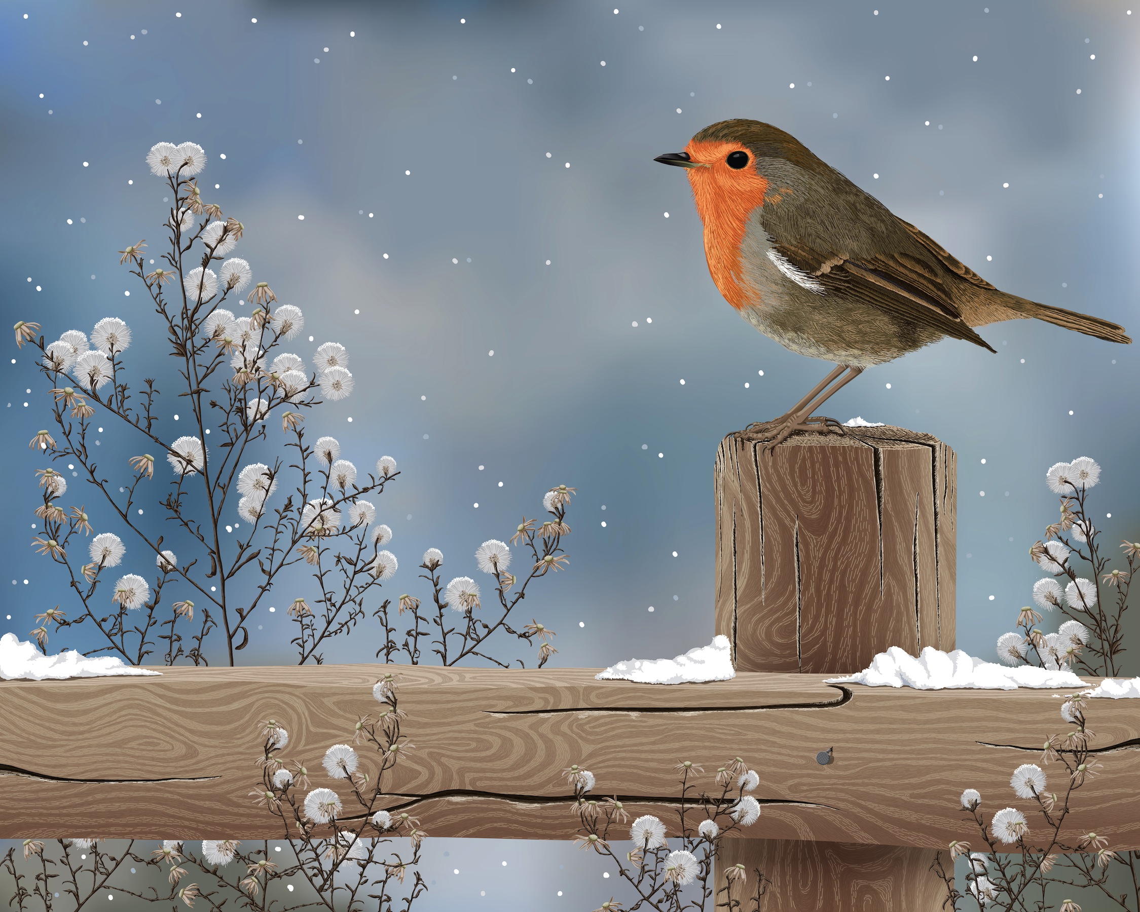 Animal Bird Robin Fence Winter Tree Snow Artistic 2249x1800