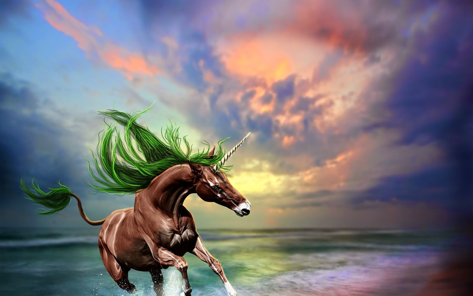 Unicorns Horse Fantasy Art Digital Art 1600x1000