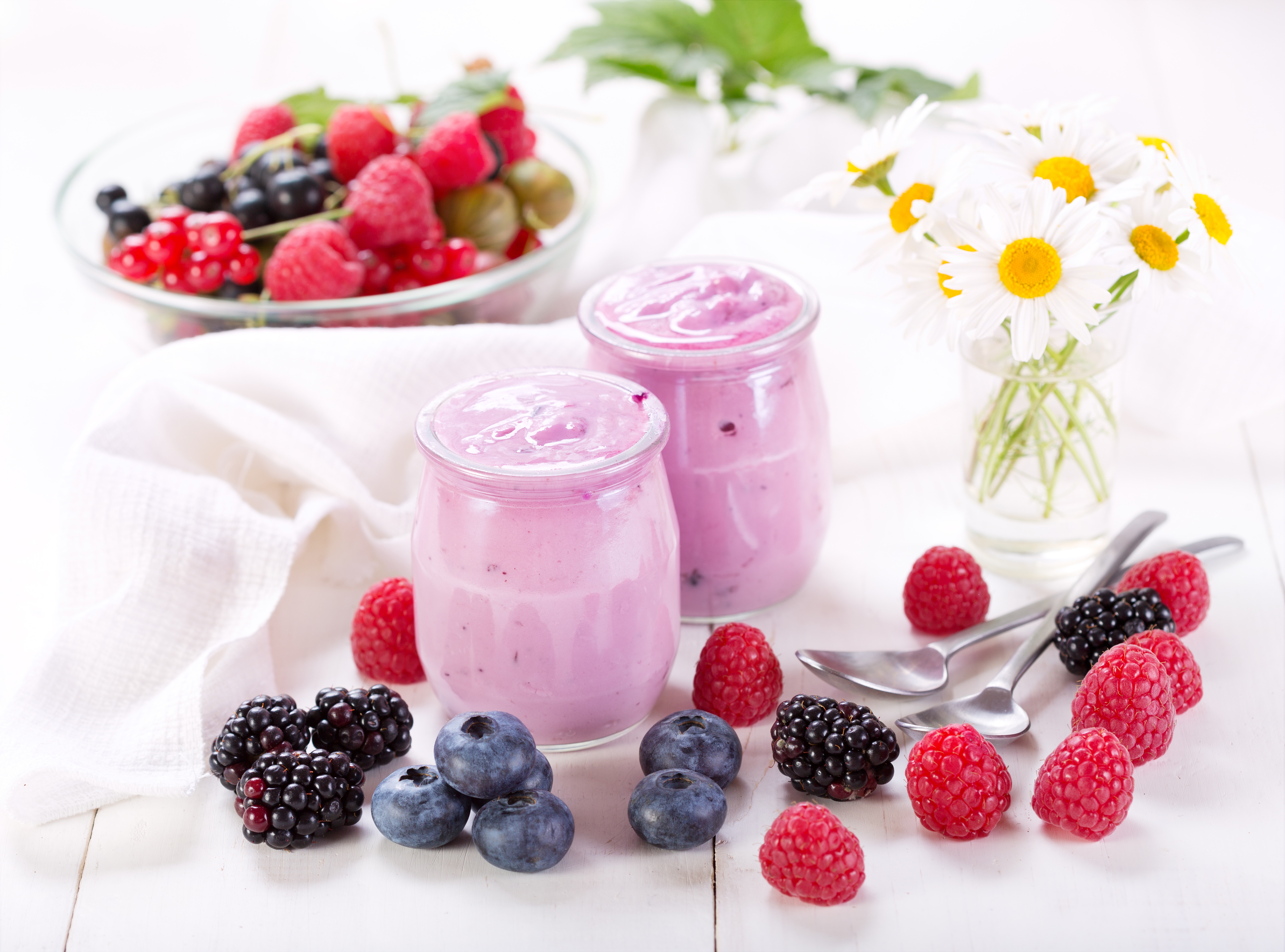 Yogurt Berry Raspberry Blueberry Blackberry Still Life 5000x3705