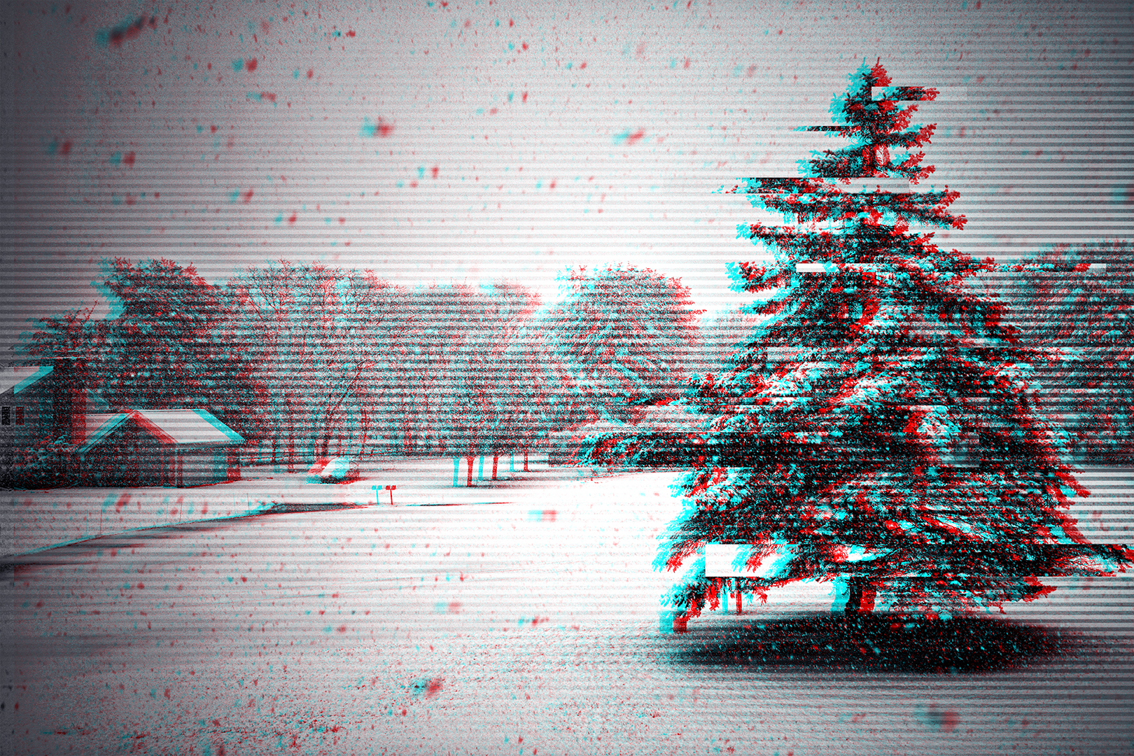 Trees Tree Bark Tree Trunk Snow Snow Flakes Winter Monochrome Low Saturation Photography Landscape E 1620x1080
