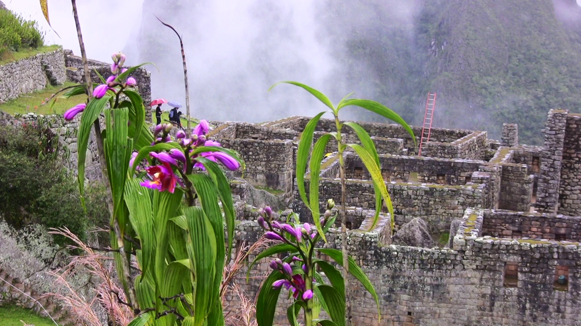 Man Made Machu Picchu 1920x1080