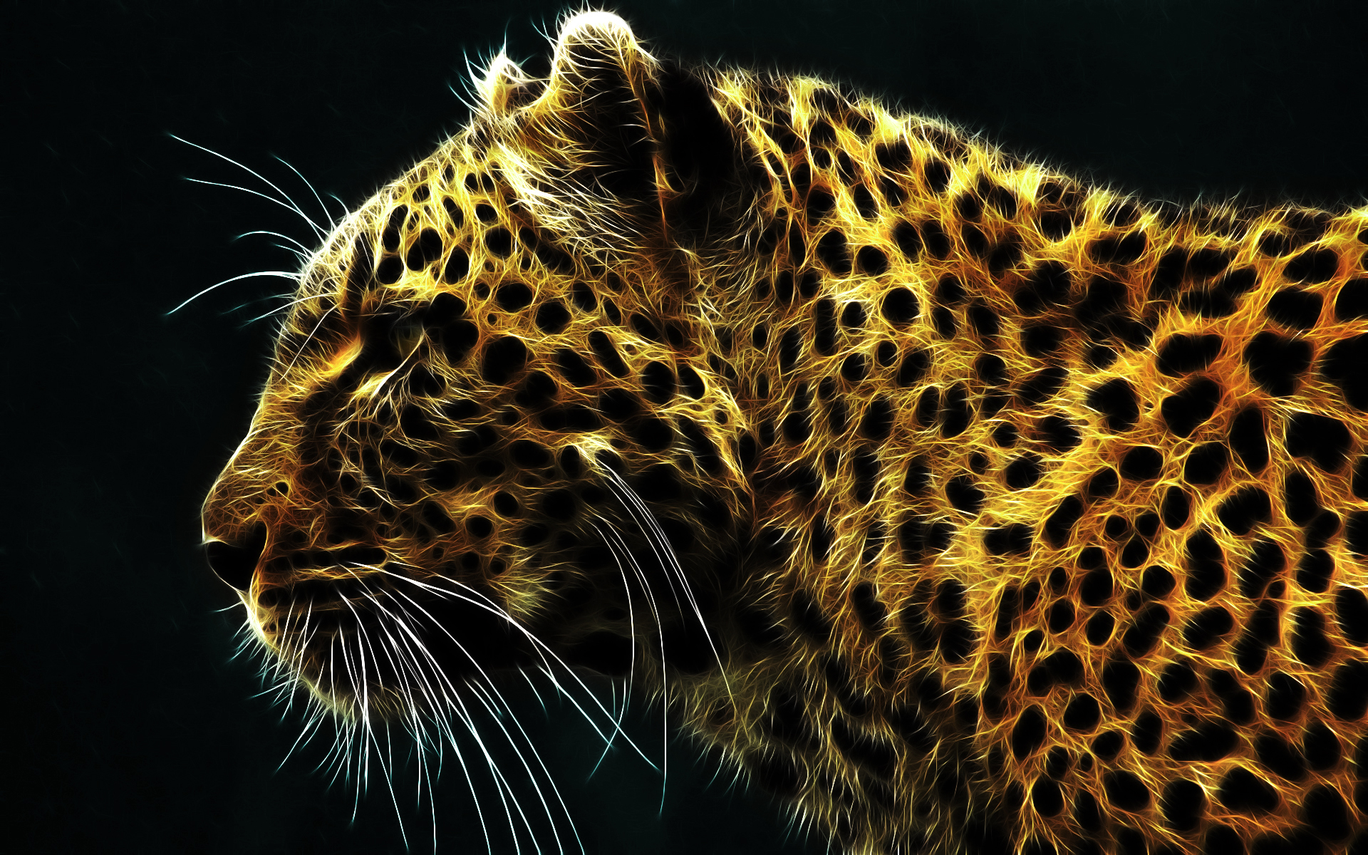Animal Predator Animal Big Cat Leopard 1920x1200