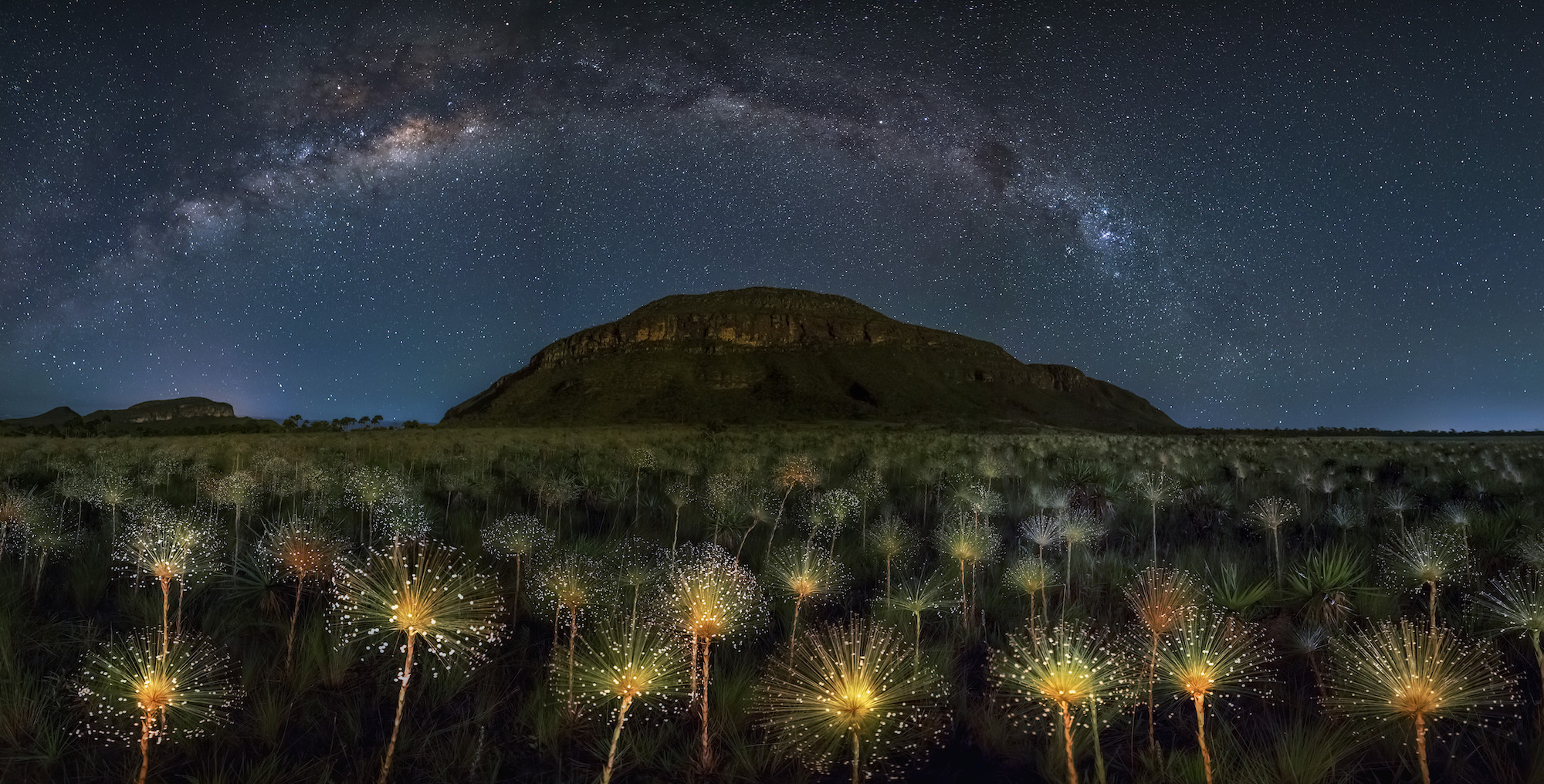 Nature Landscape Long Exposure Night Trees Mountains Stars Milky Way Flowers South America 2000x1016