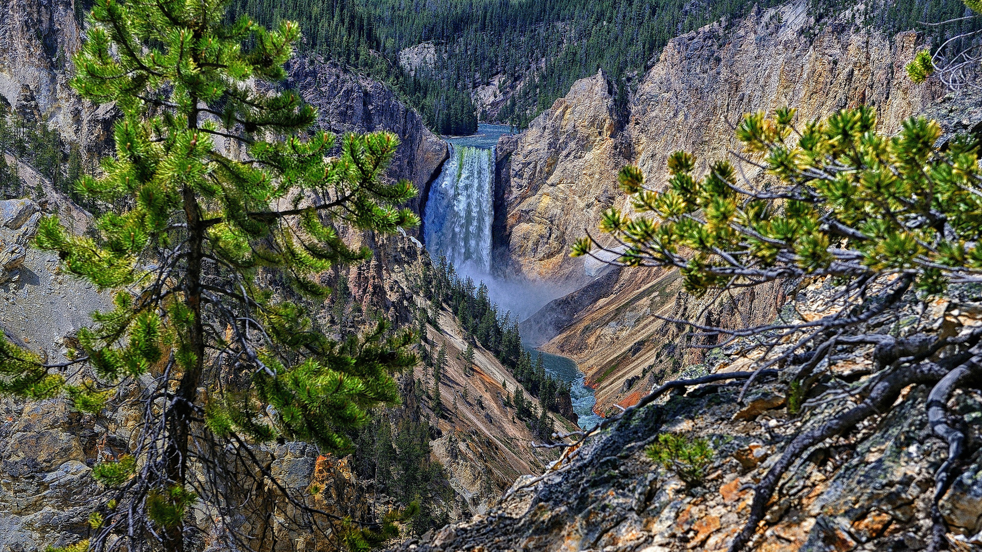 Earth Waterfall Rock Mountain Forest River Yellowstone 1920x1080