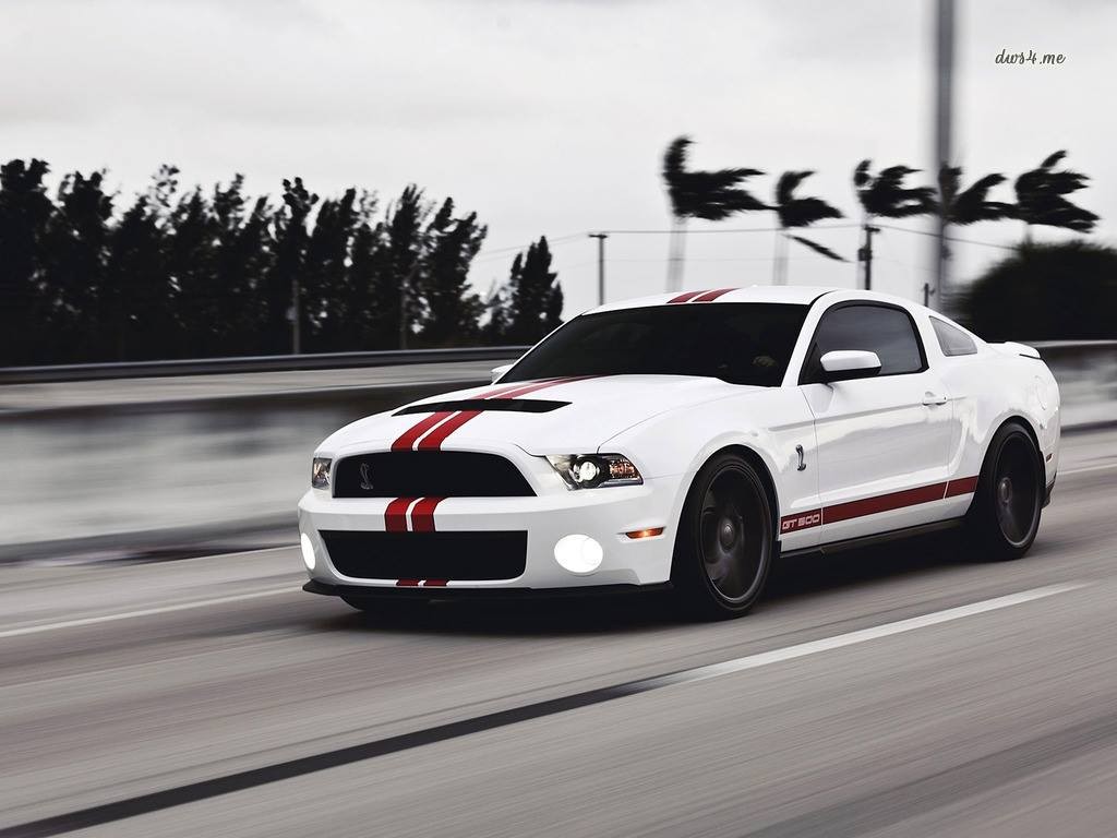 Car Ford Mustang Shelby GT500 American Cars Muscle Cars Racing Stripes 1024x768