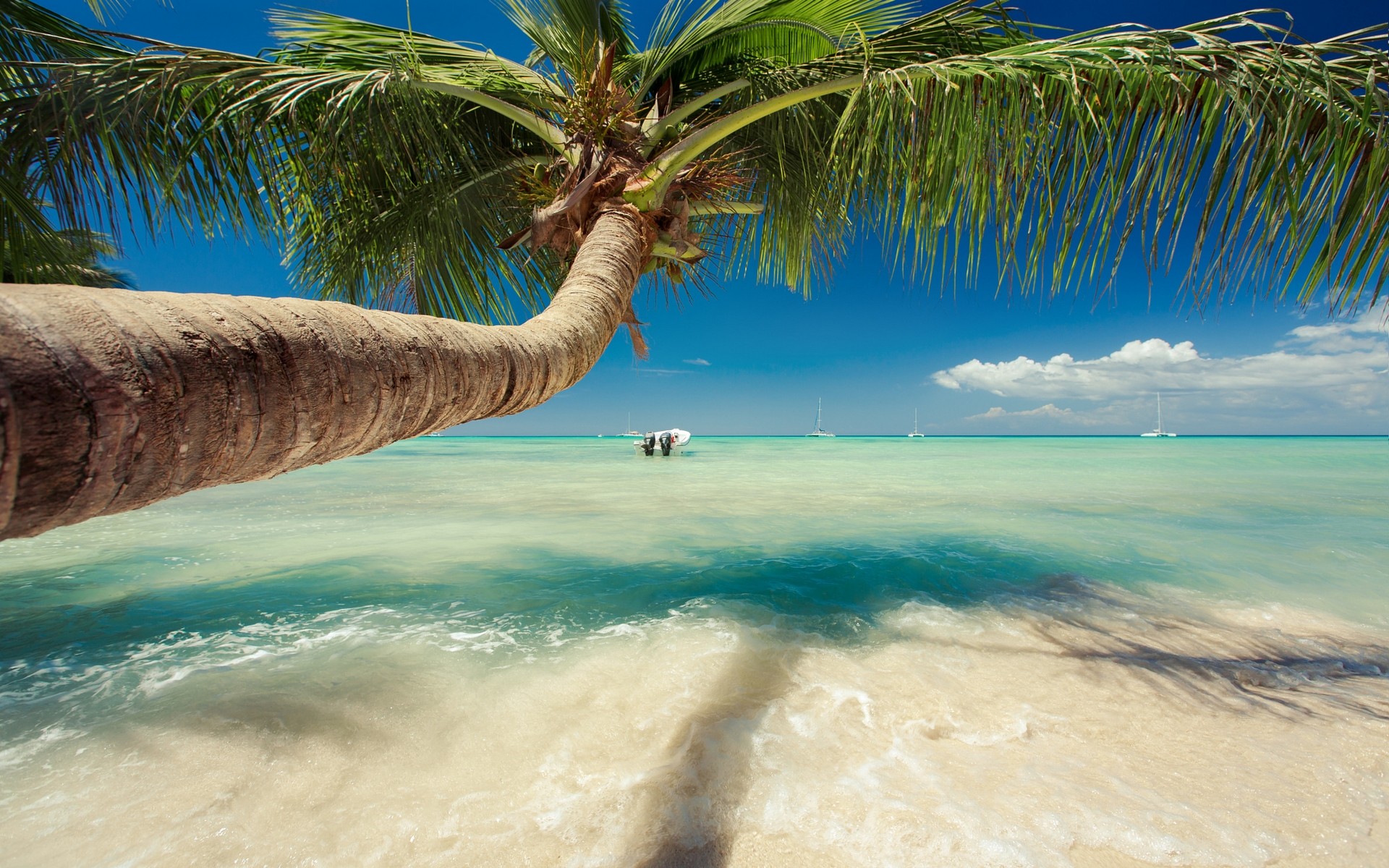 Nature Landscape Caribbean Sea Palm Trees Beach Tropical Summer Sailboats Water 1920x1200