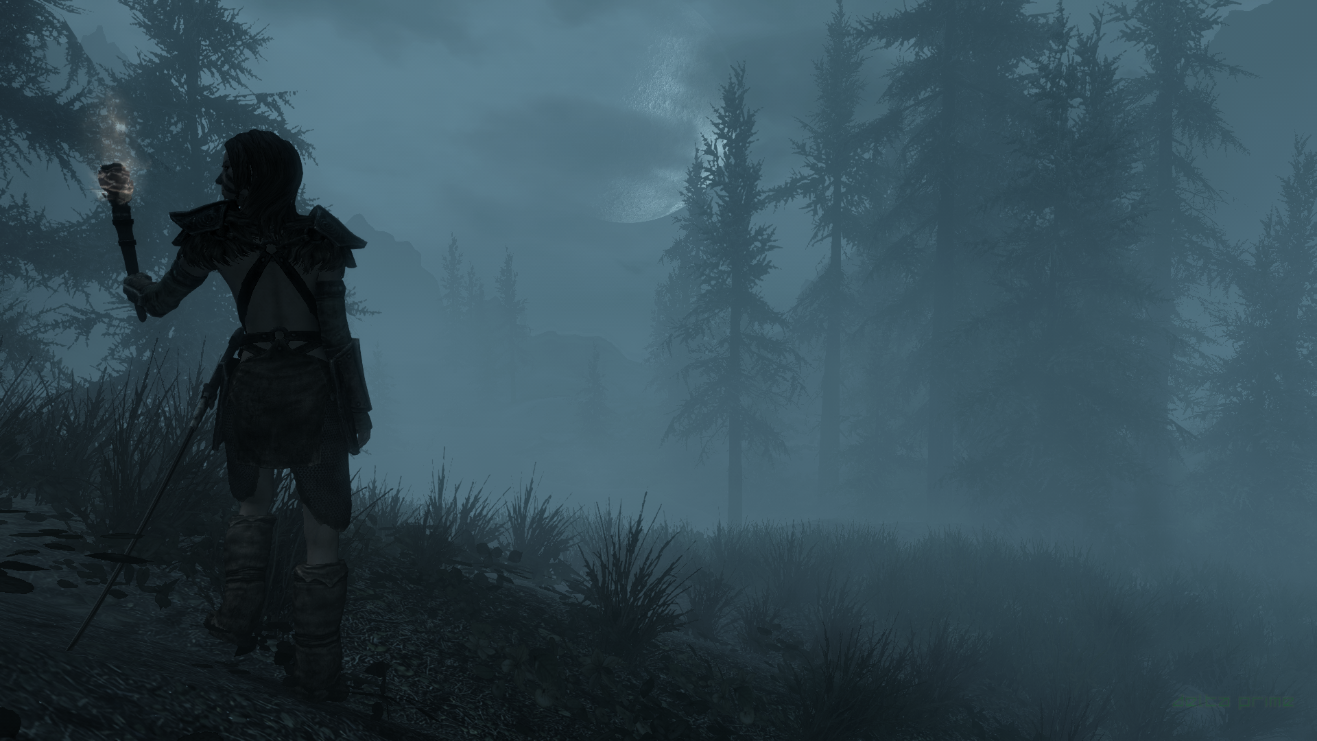 PC Gaming Screen Shot The Elder Scrolls V Skyrim In Game Snow Winter Mist Aela The Huntress Skyrim T 1920x1080