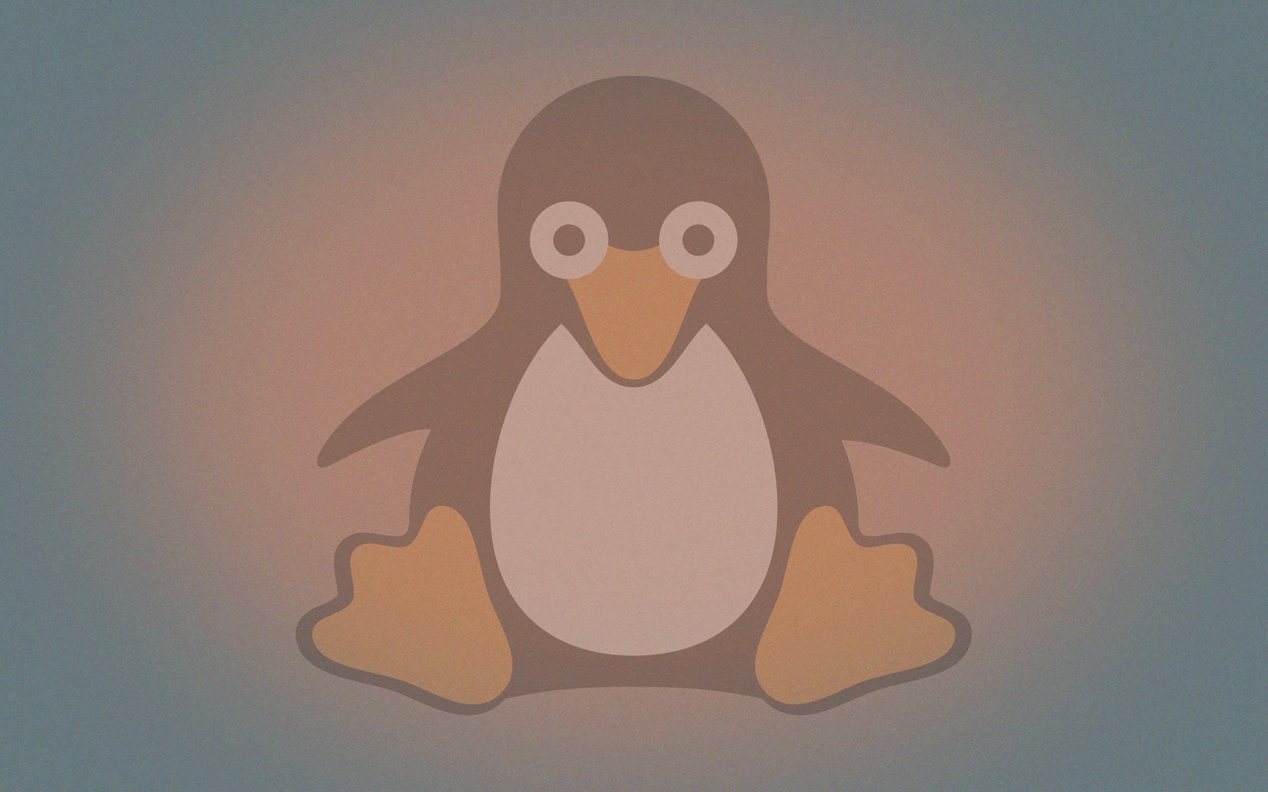 Linux Tux Open Source Penguins Logo 2560x1600