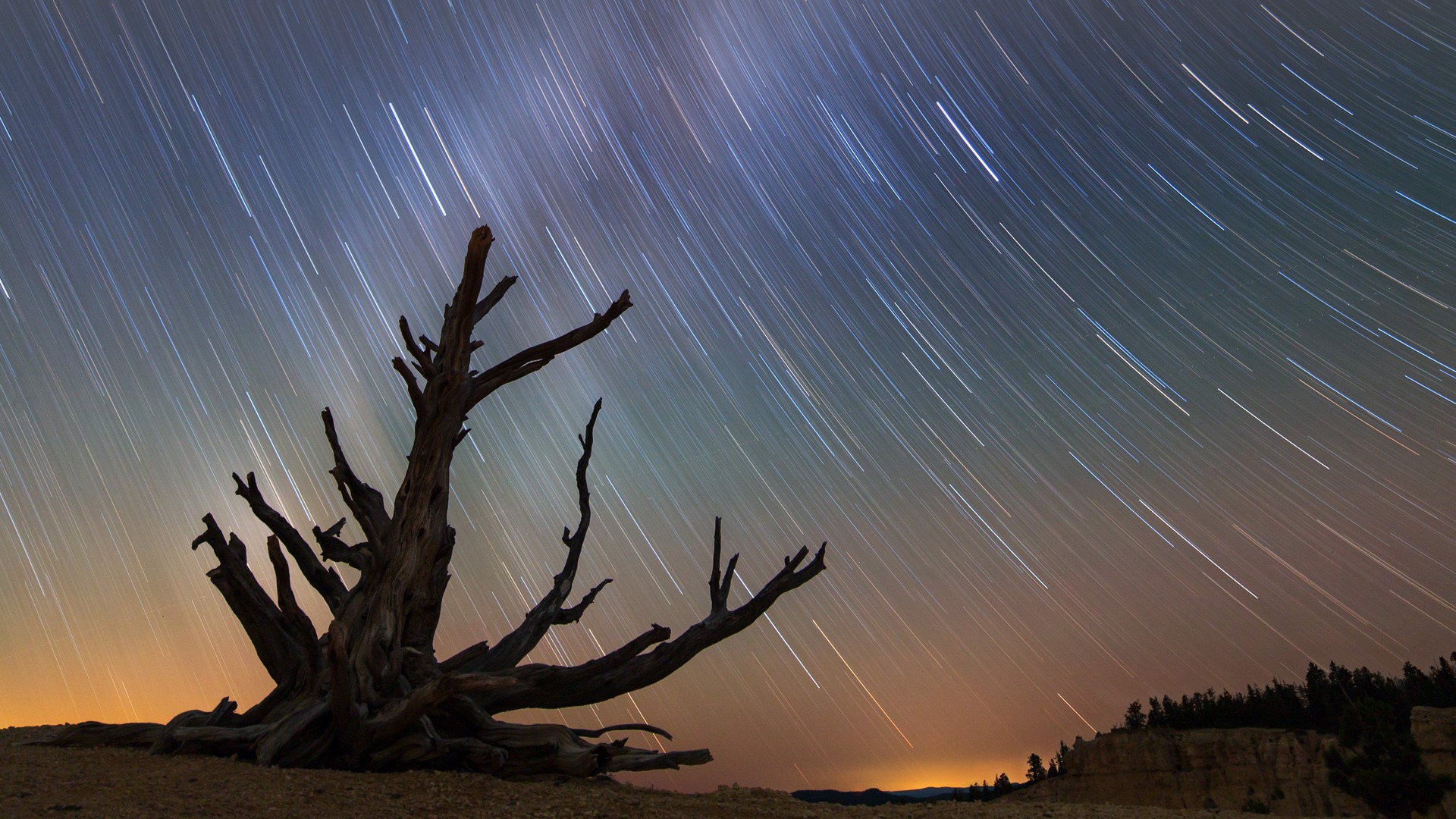 Milky Way Stars Bryce Canyon National Park Night Sky Pine Trees 1920x1080