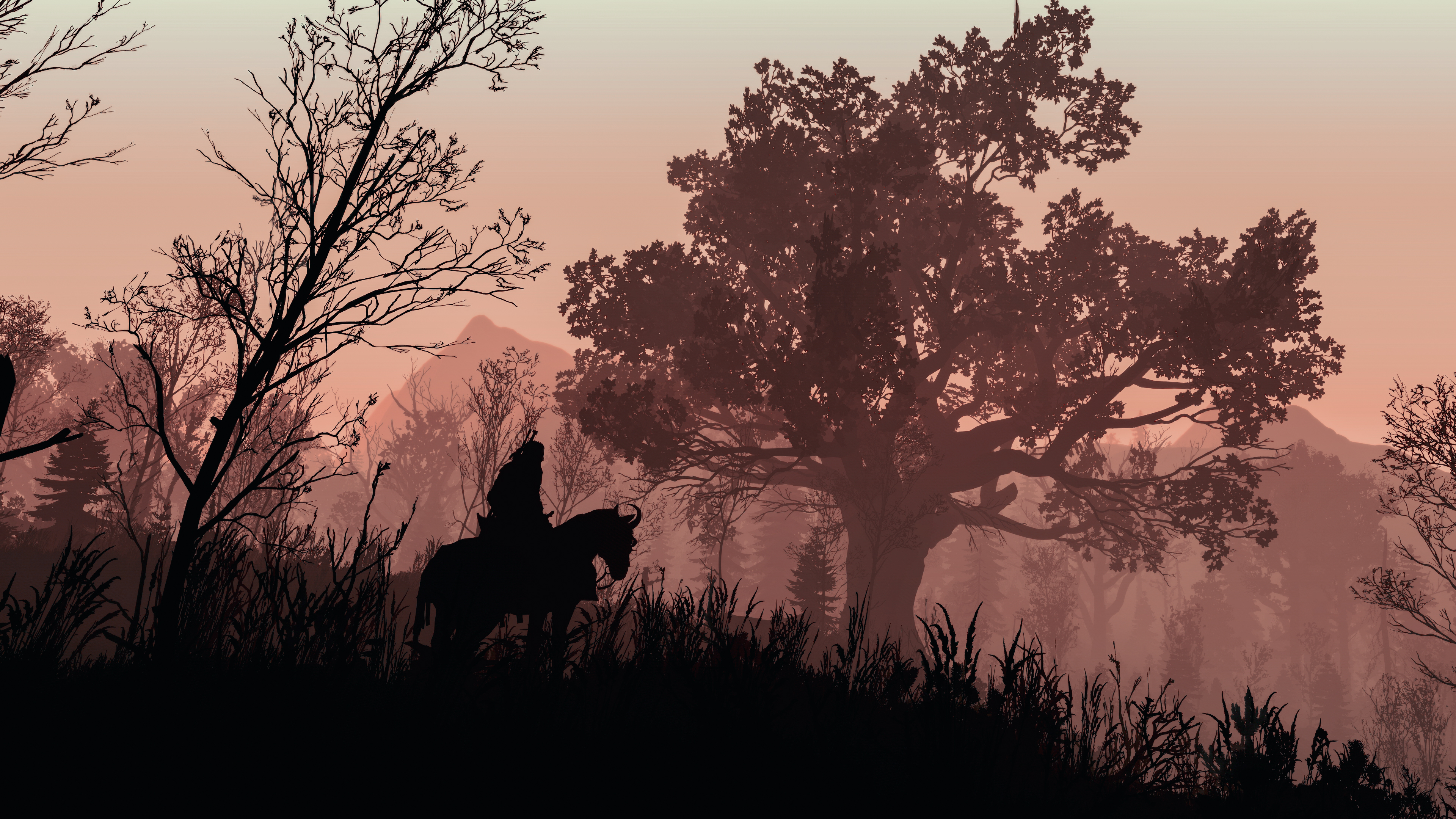 The Witcher 3 Wild Hunt PC Gaming Geralt Of Rivia Roach Screen Shot Video Games 3840x2160