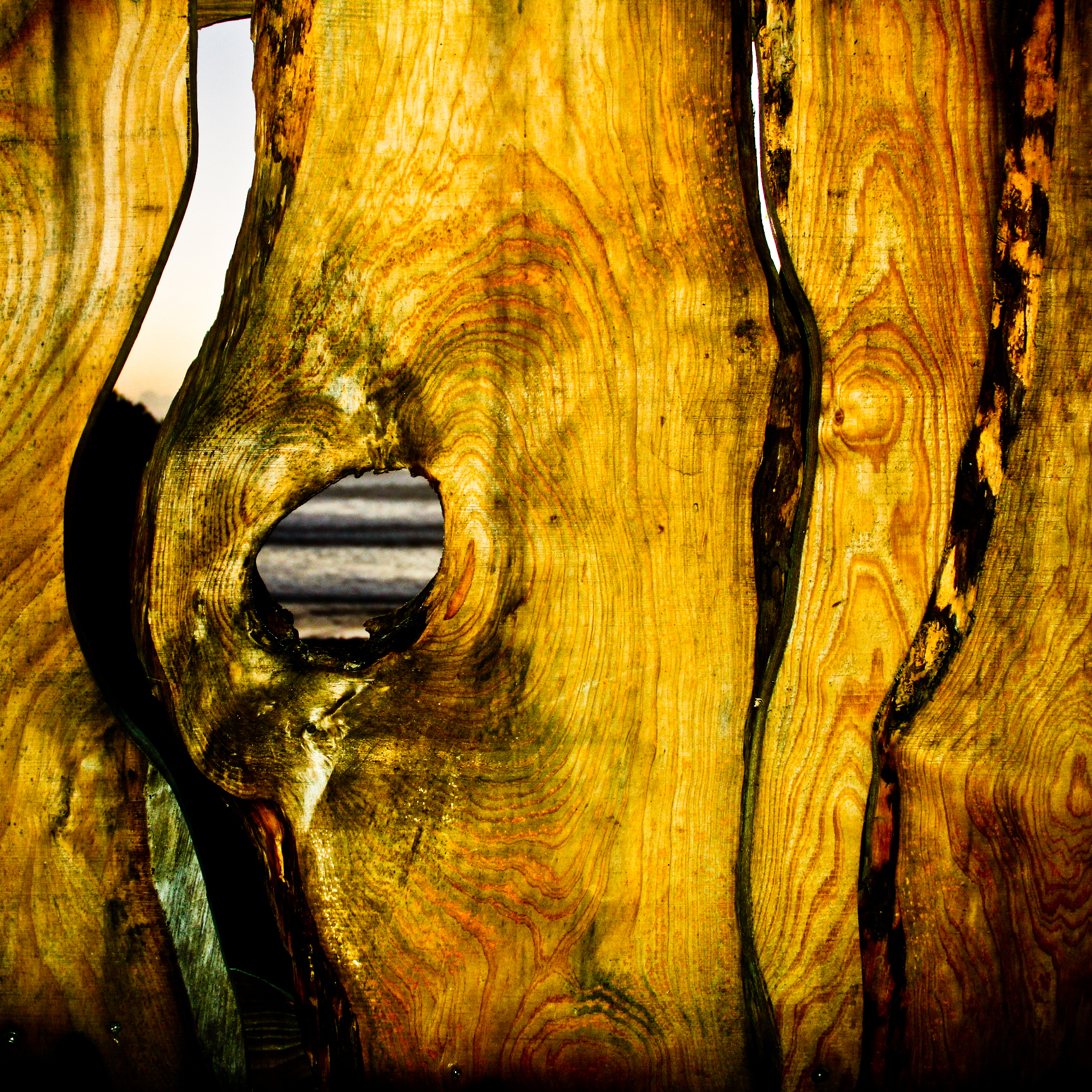 Wood Fence Wood Texture Wood Yellow 1728x1728