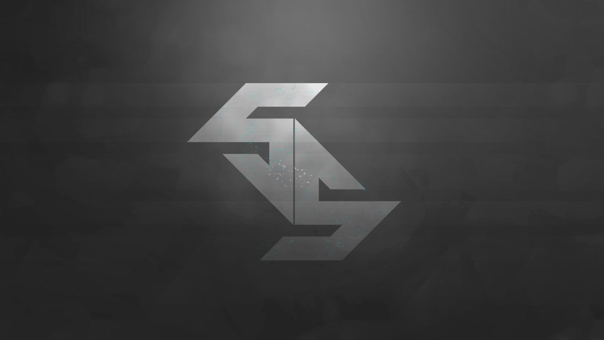 Black Gray White Counter Strike Global Offensive CS GO Team Spes Salutis 1920x1080