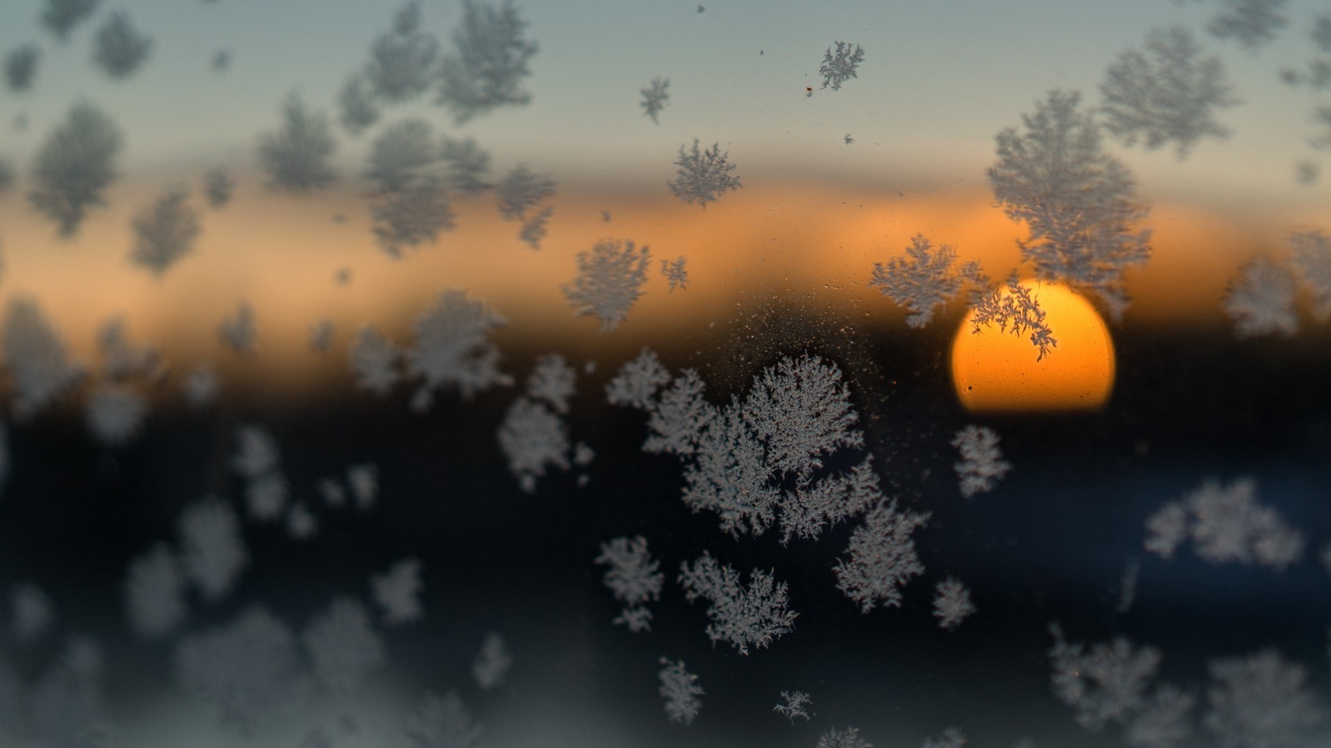 Nature Sun Sunset Glass Winter Snow Flakes Depth Of Field Clouds Blurred Frost Photography Snow 1920x1080