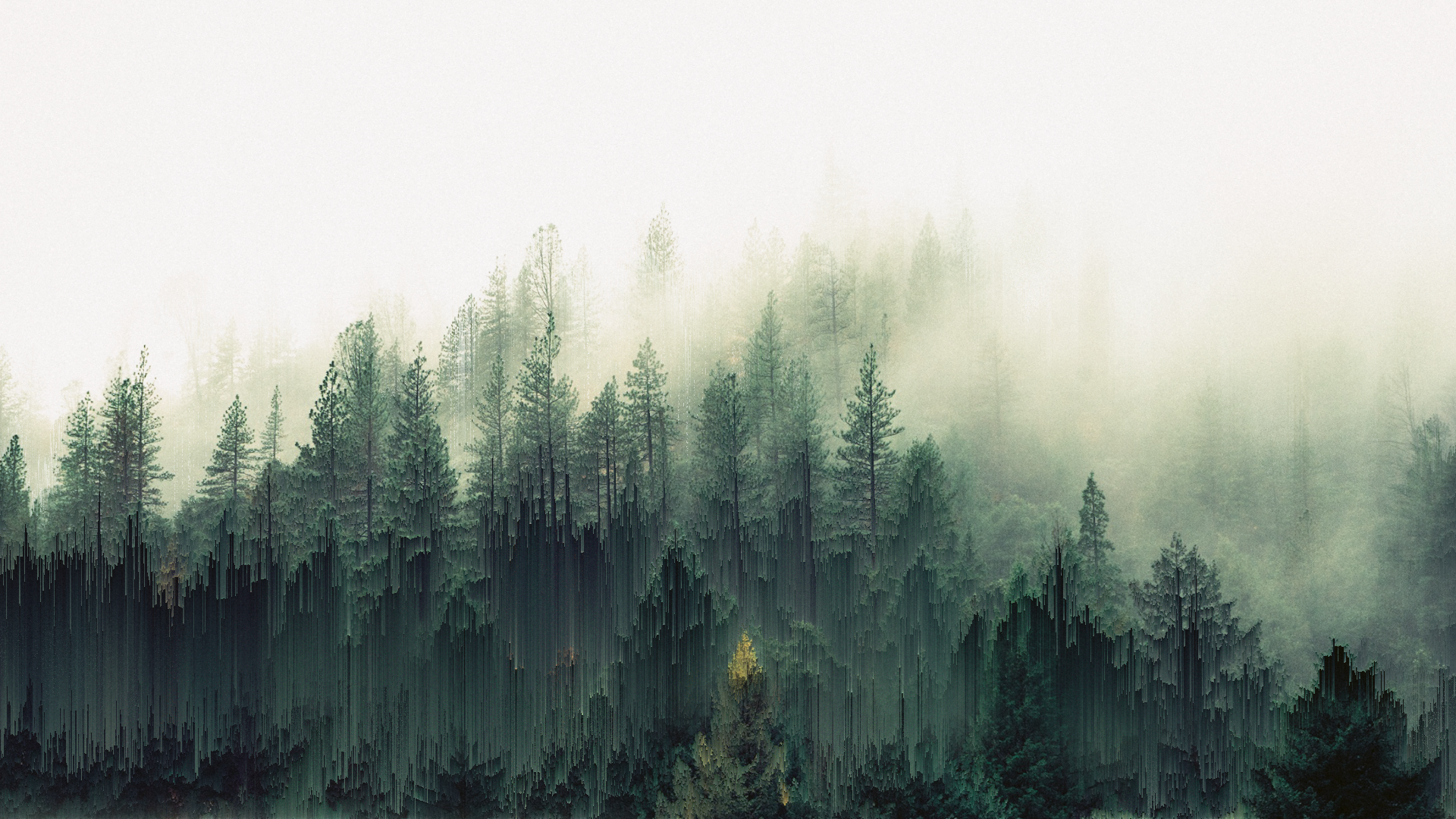 Forest Trees Mist Pixel Sorting Glitch Art Green 1920x1080