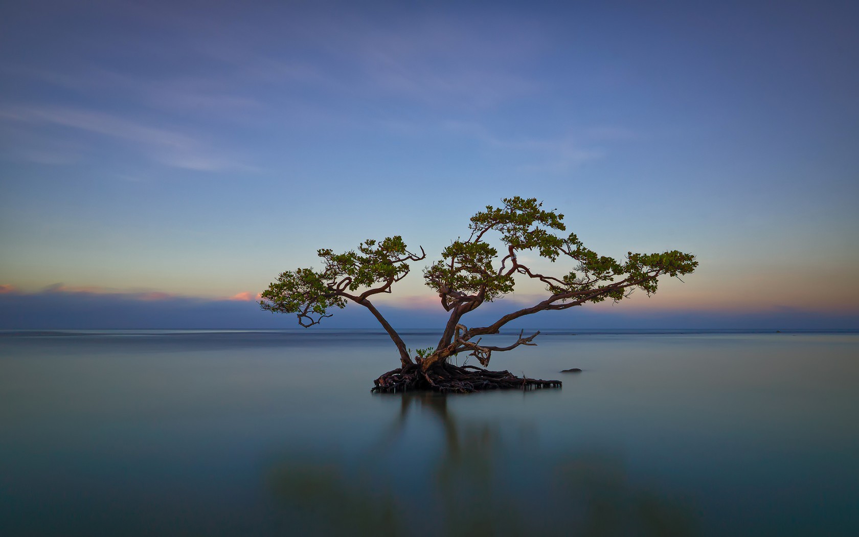 Nature Landscape Trees Water Island Horizon Reflection Clouds Sunset Roots Long Exposure Branch Leav 1680x1050