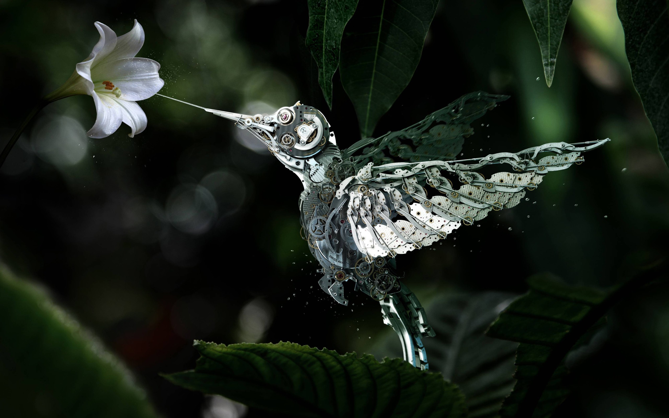 Fantasy Art Flowers Mechanics Birds Digital Art Animals Hummingbird 2560x1600