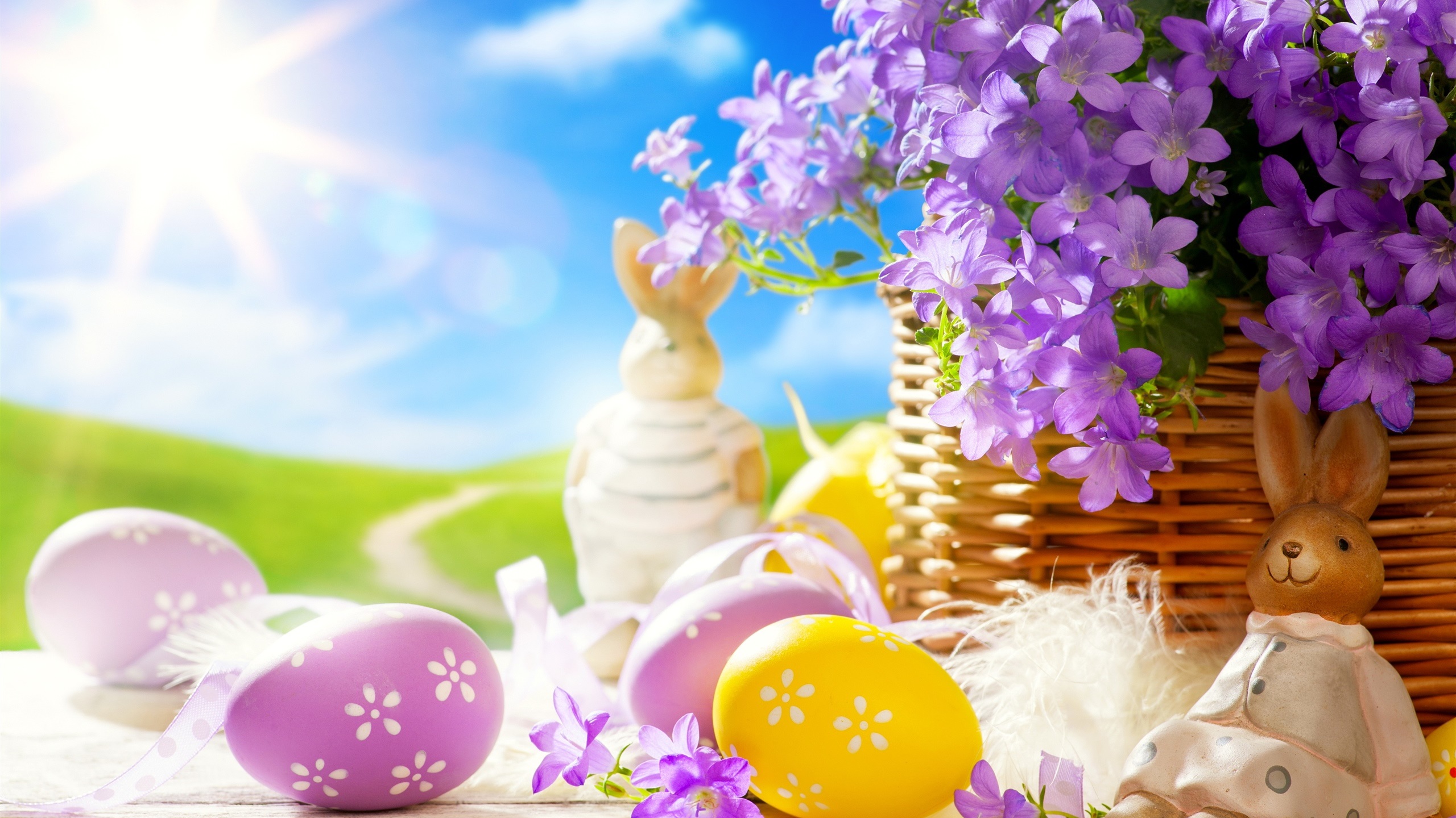 Easter Eggs Rabbits Flowers Baskets Nature Sunlight Grass Sky Clouds 2560x1440