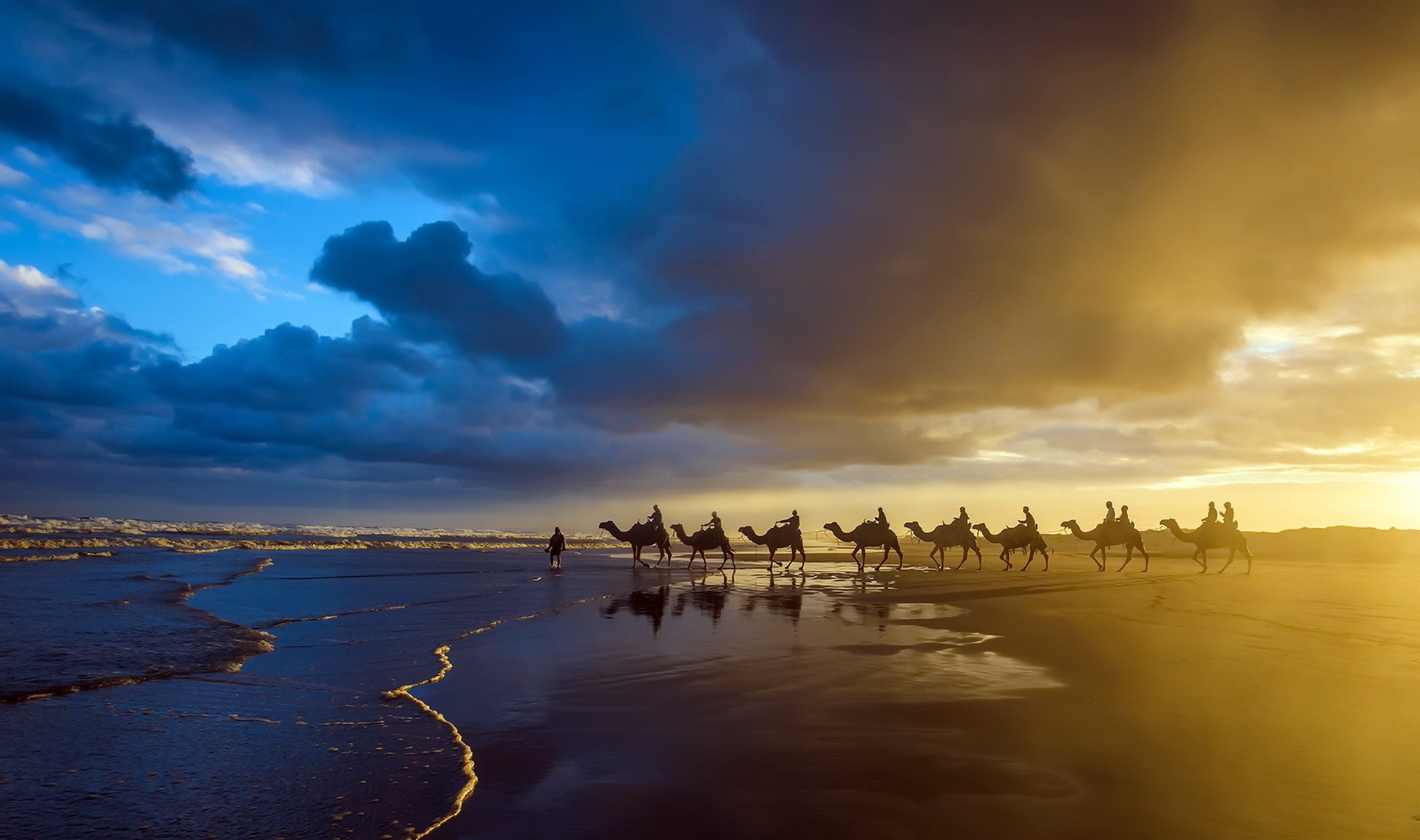 Photography Sunset Camels Animals Blue 1920x1136