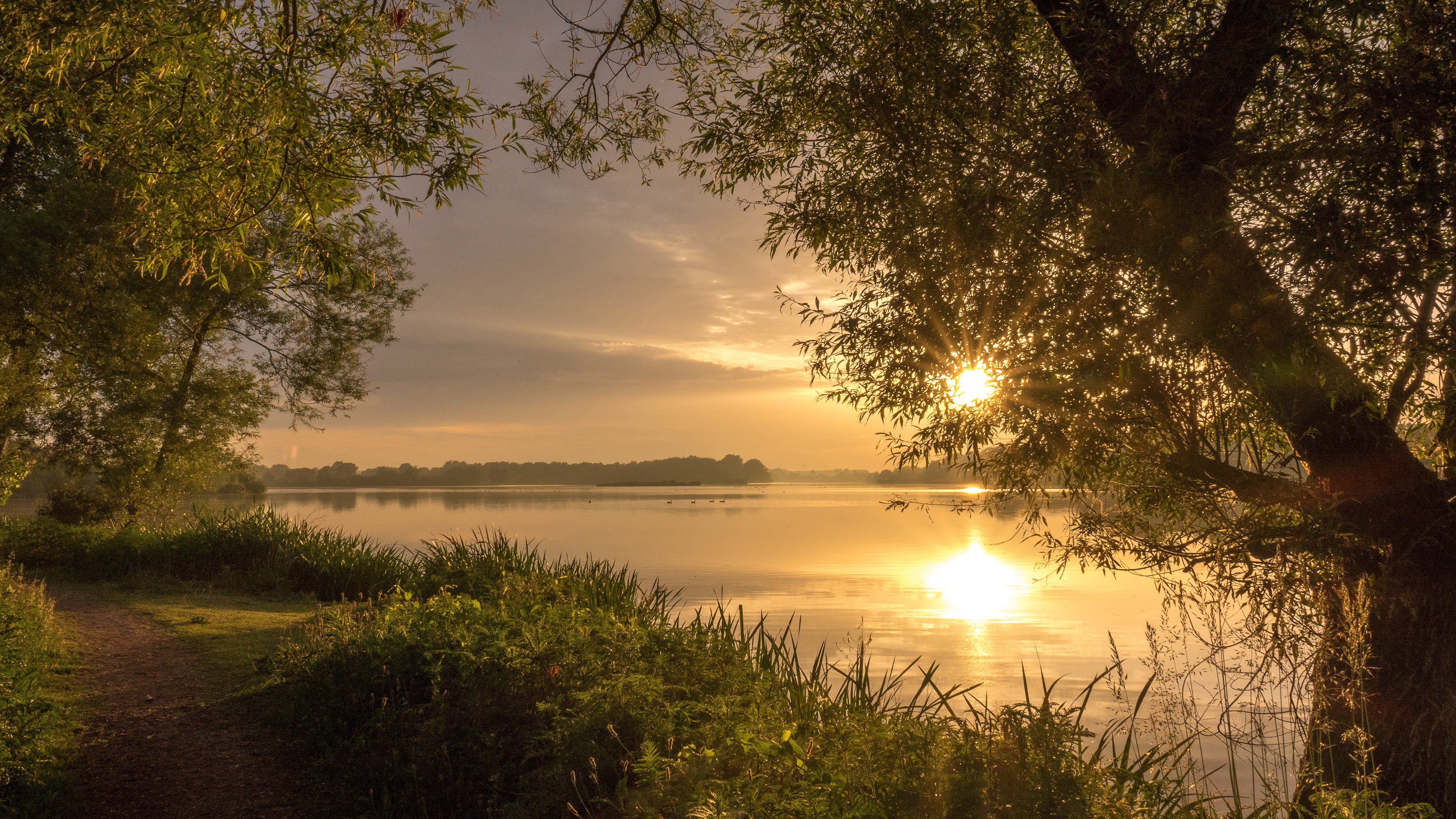 Nature Water Sunlight Trees Sunset Lake Plants Reeds Path 3840x2160