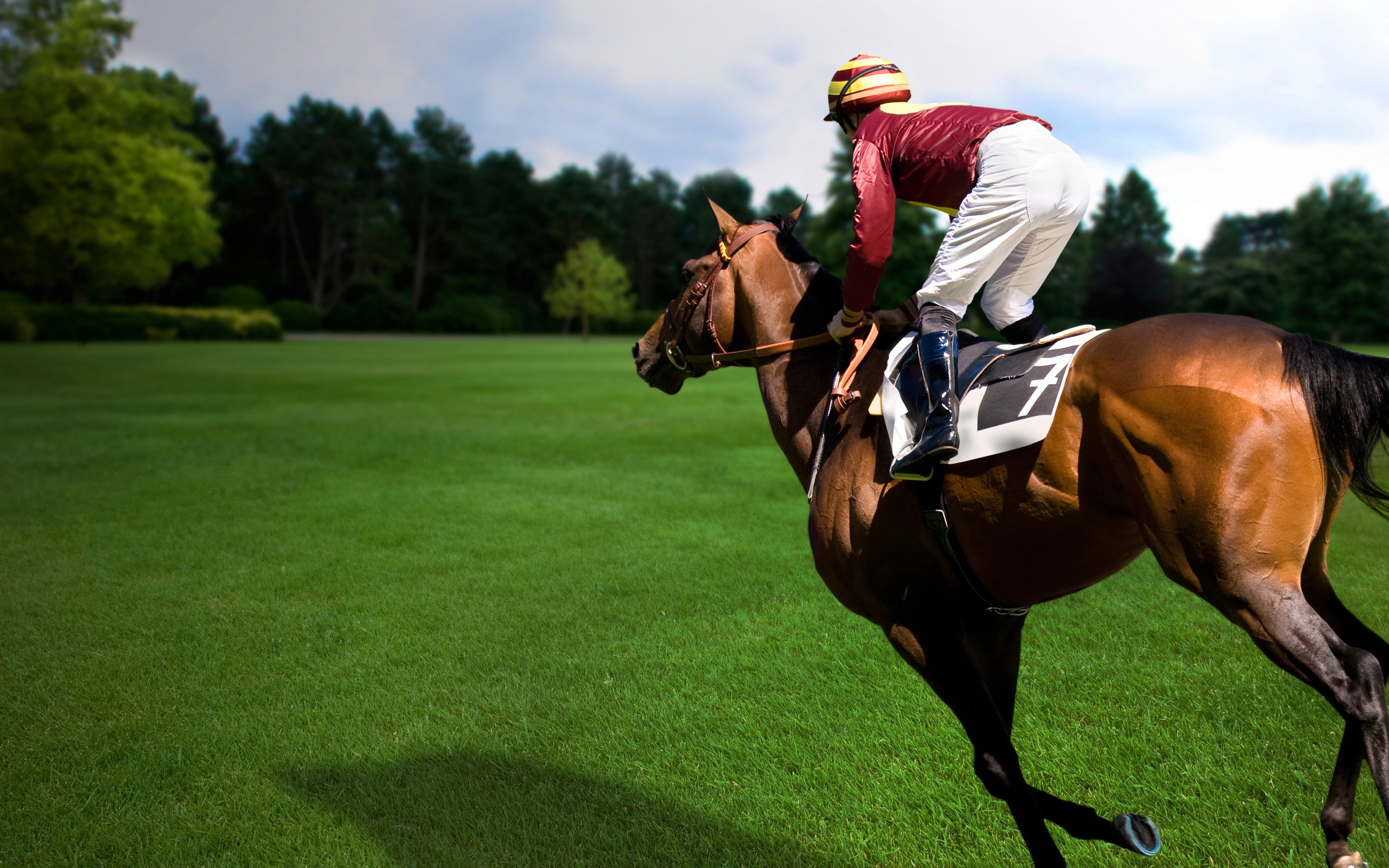 Sports Horse Racing 2560x1600