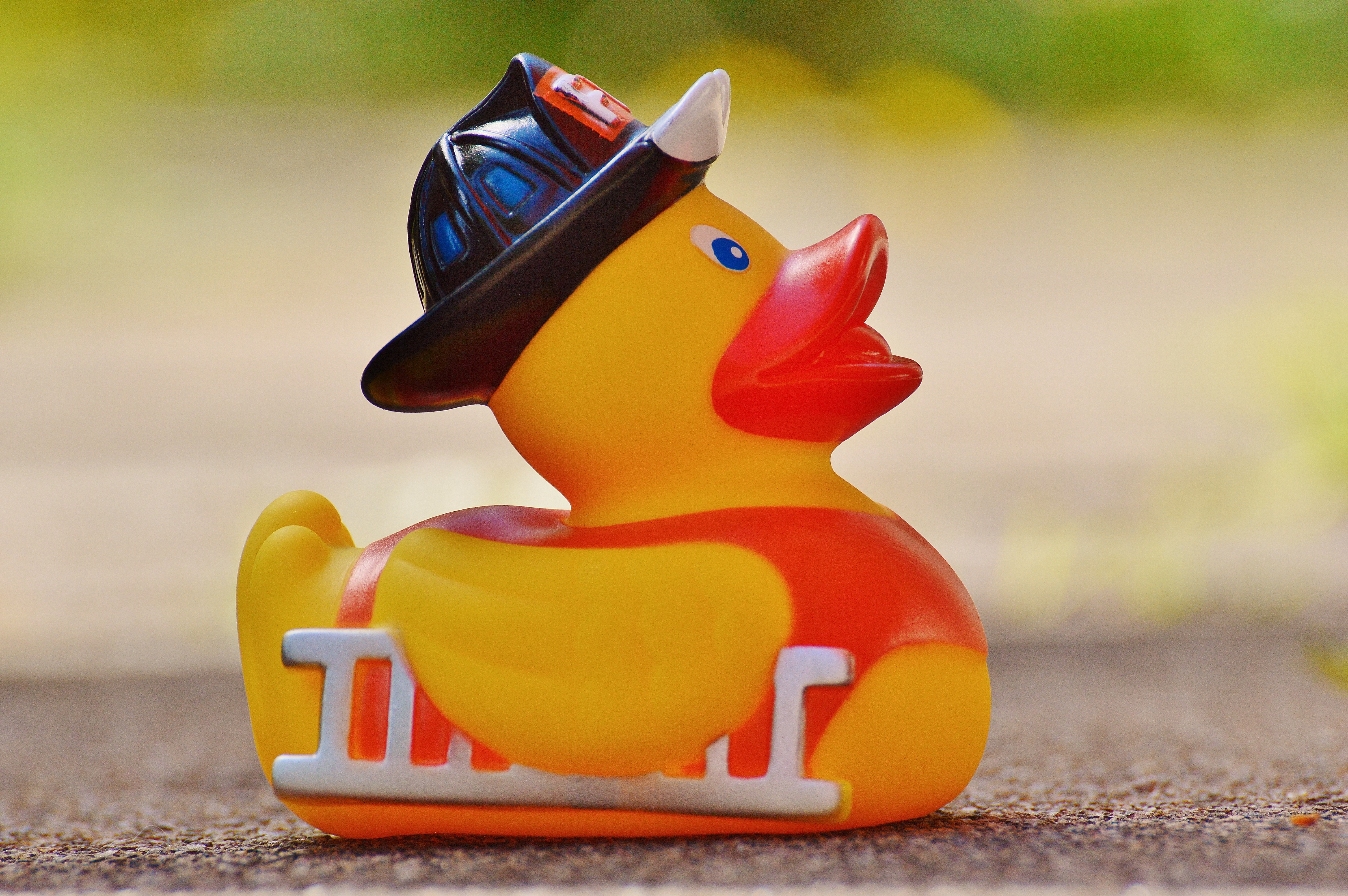Rubber Duck Duck Toy 6016x4000