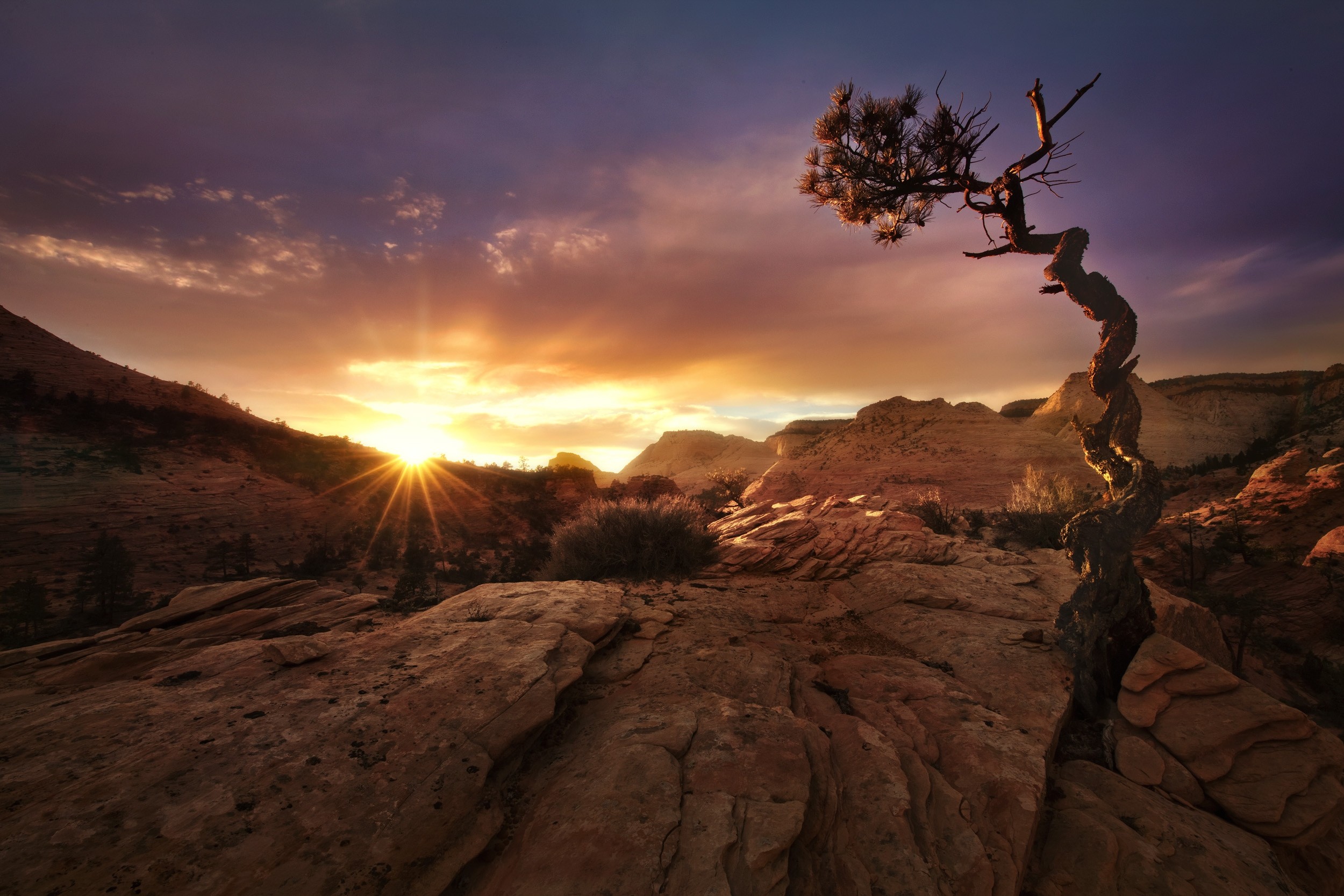 Nature Landscape Fall Sunset Desert Trees Zion National Park Utah Clouds Sunlight 2500x1667