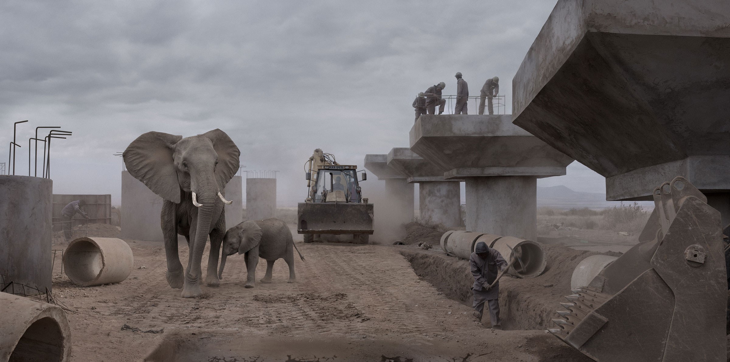 Nature Animals Elephant Construction Site Photo Manipulation Men Workers Concrete Excavators Dust Ba 2400x1193