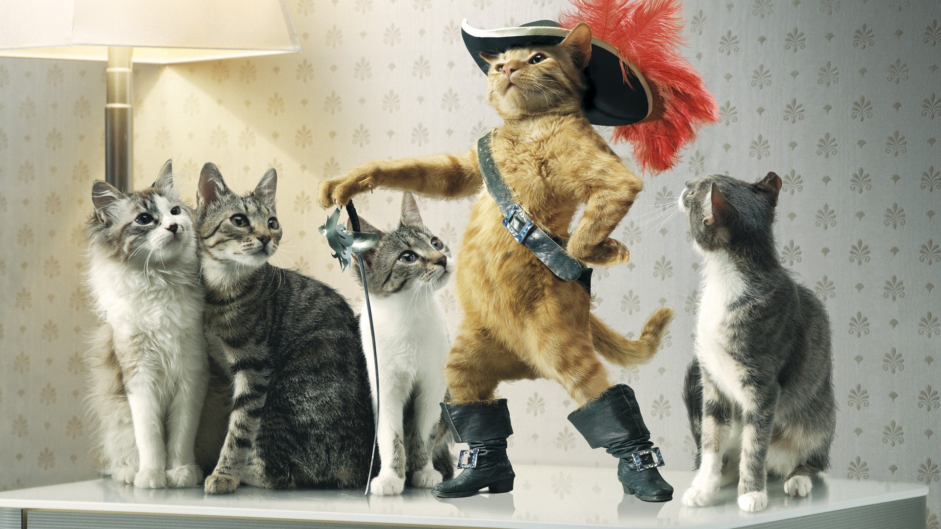 Cats Puss In Boots Photo Manipulation 1920x1080