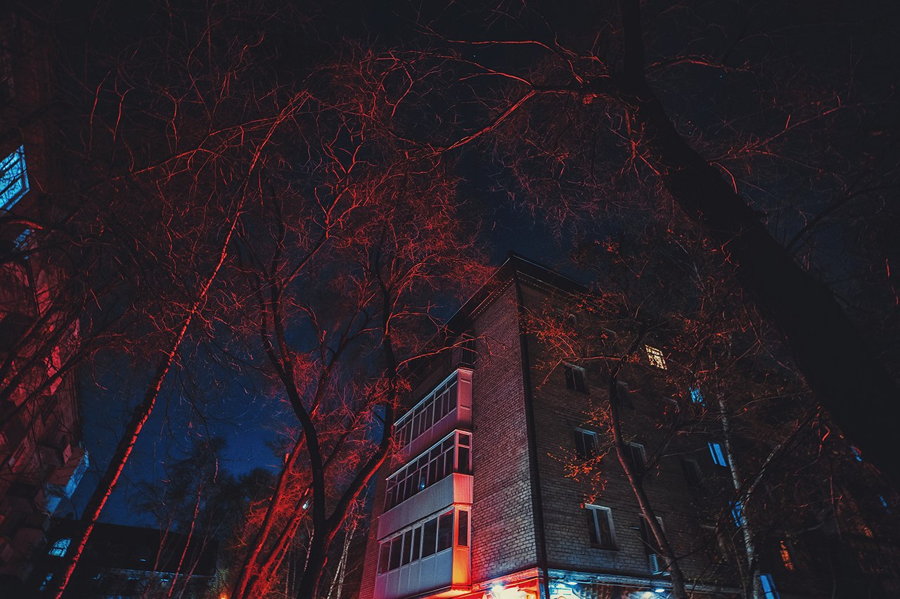 Night Town Russia Red Light Trees Red 1280x852