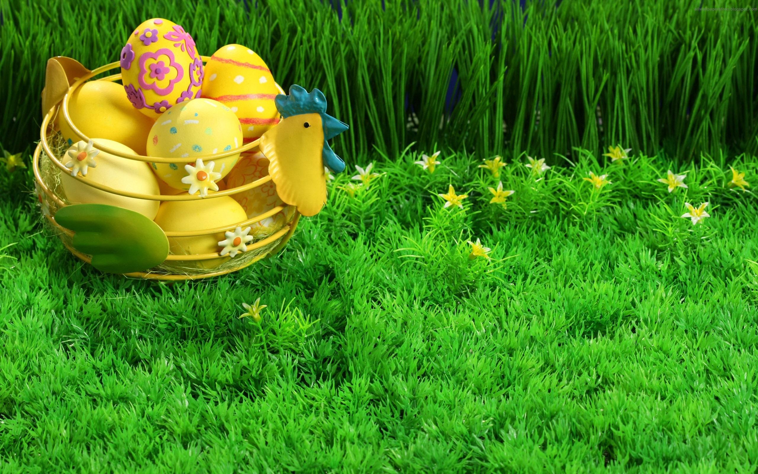 Holiday Easter Basket Rooster Easter Egg Egg Colorful Grass 2560x1600