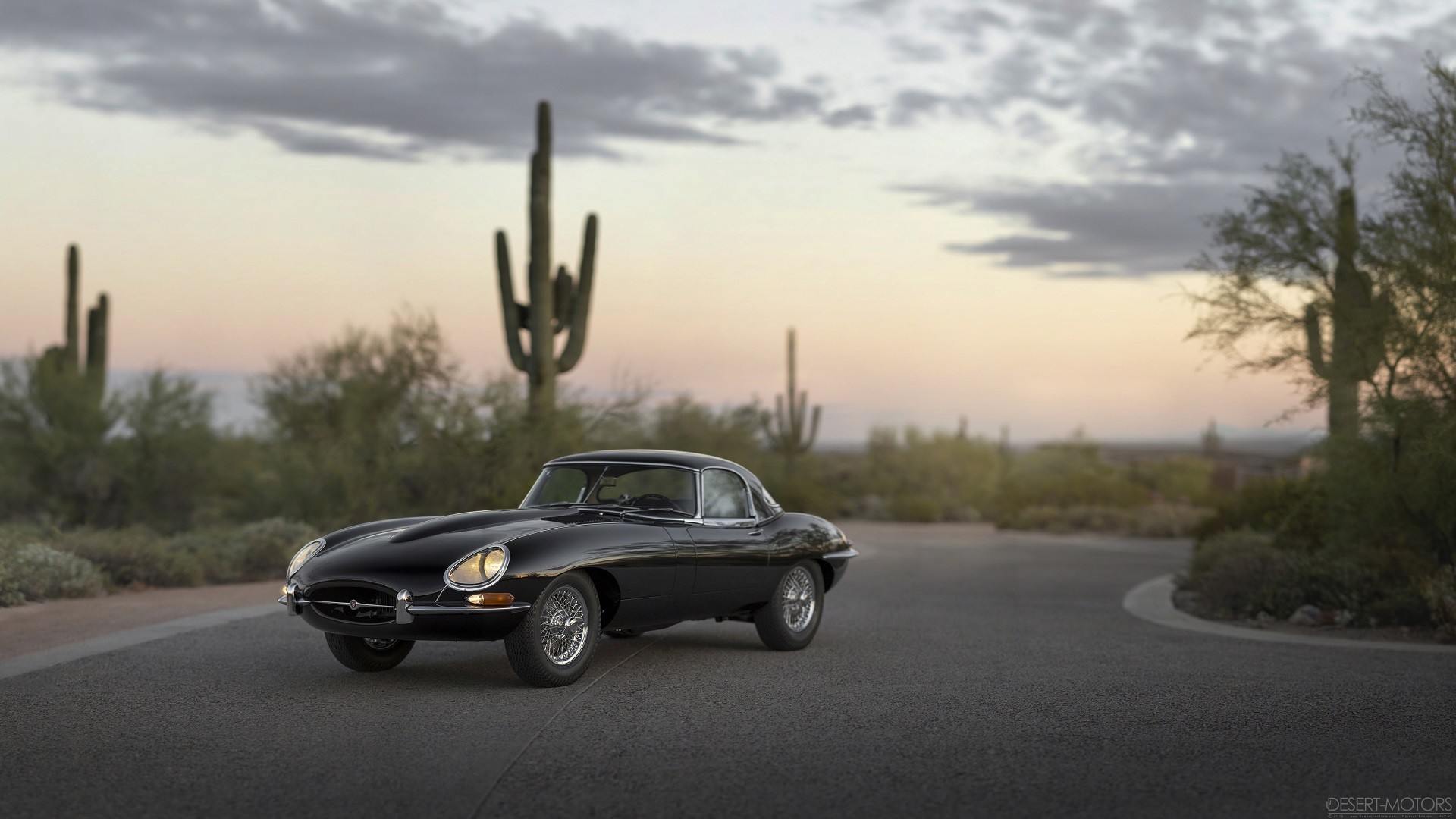 Car Jaguar E Type Jaguar Road Cactus Desert 1920x1080