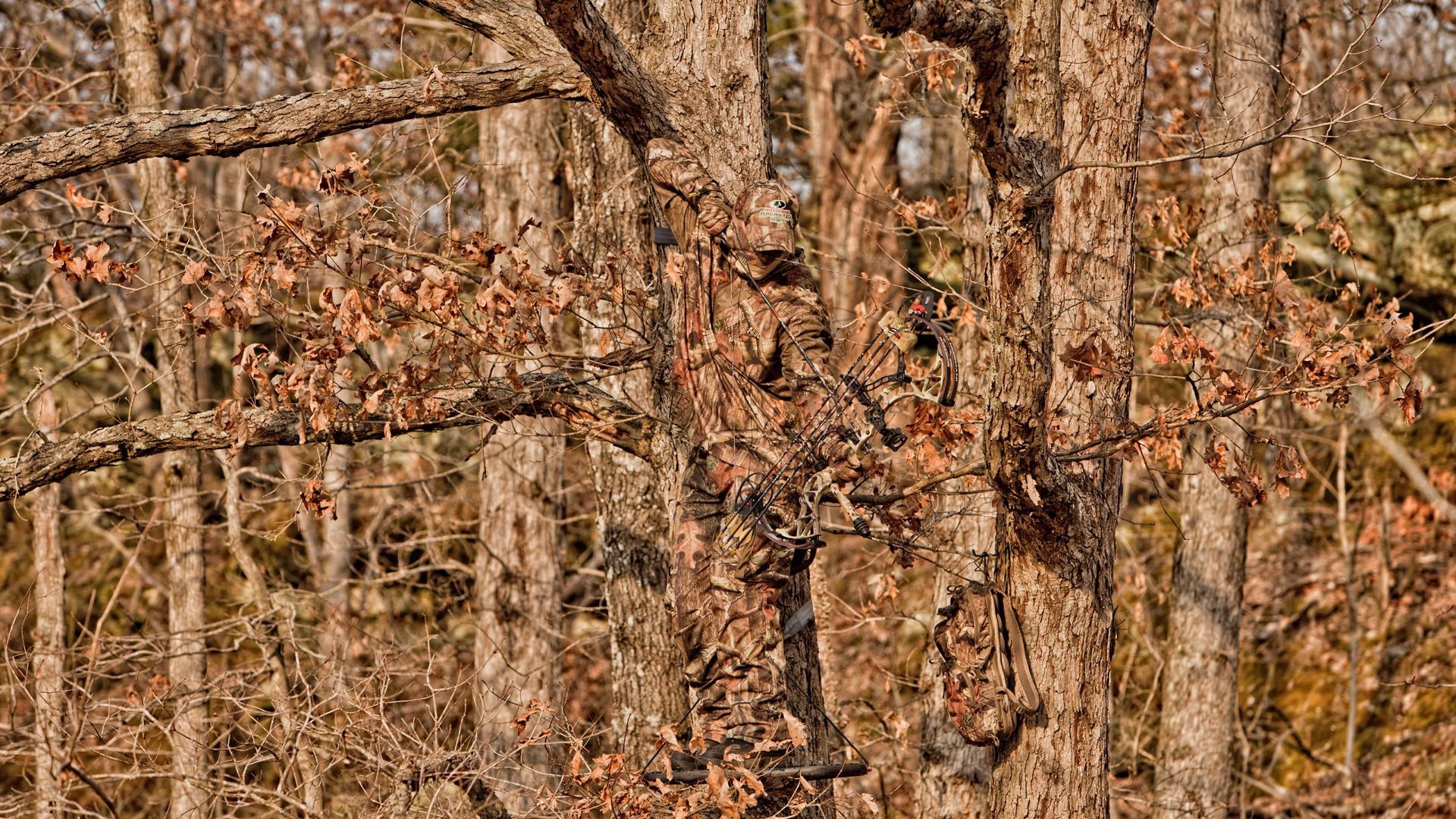 Camouflage Woodland Camouflage Archery 1920x1080