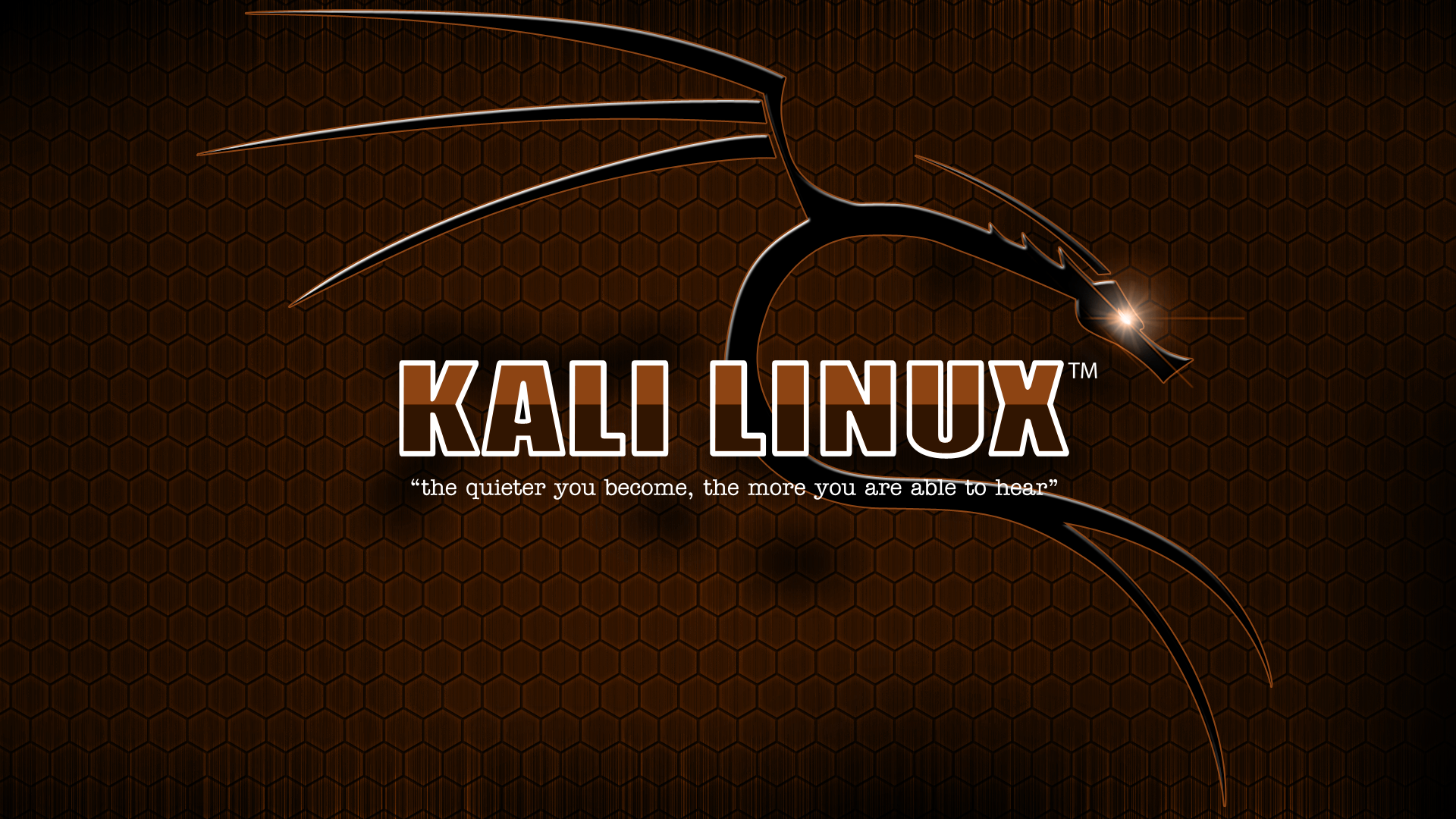 Kali Linux Typography Texture 1920x1080