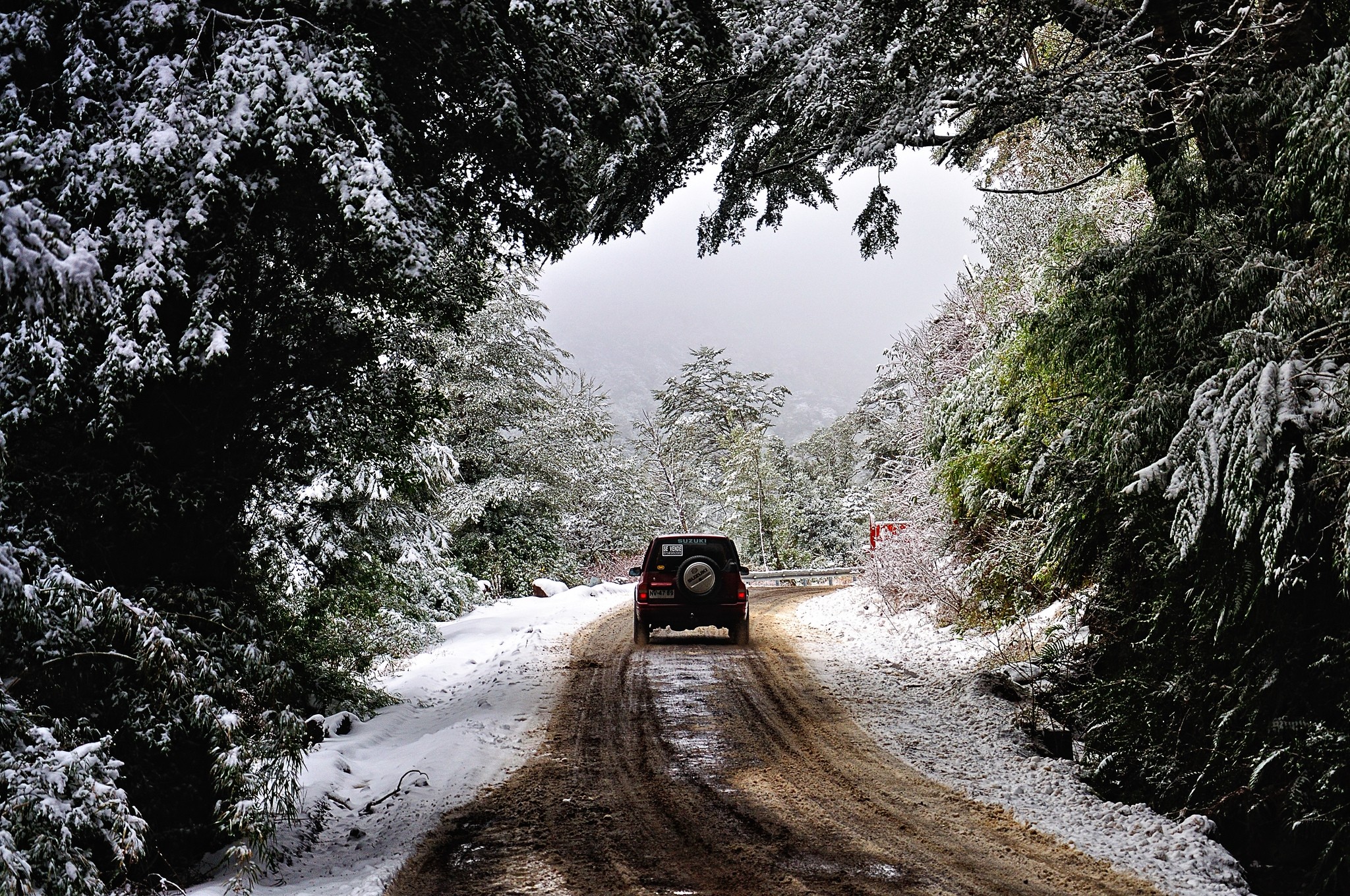 Nature Landscape Photography Winter Forest Dirt Road Snow Cold 4x4 Trees National Park Chile 2048x1360