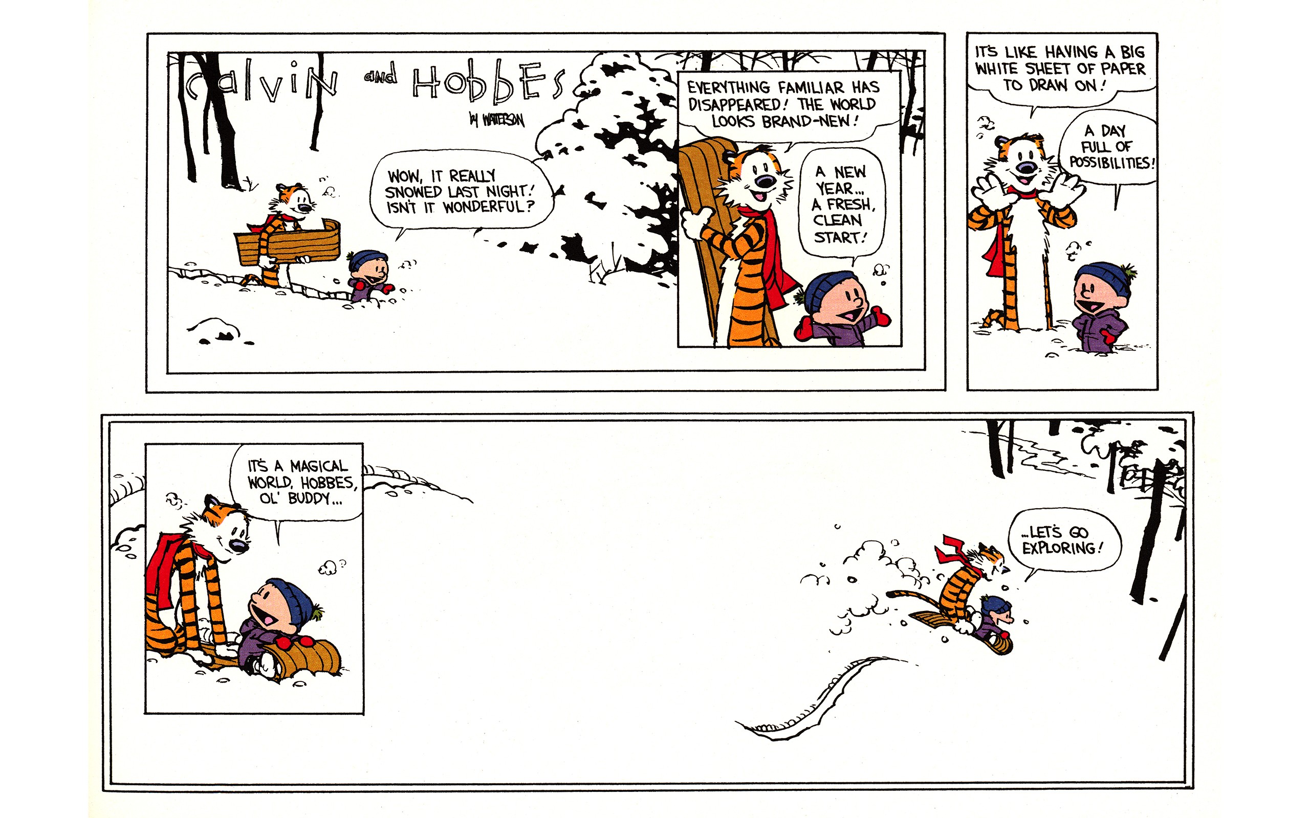 Calvin And Hobbes Comics Cartoon 2560x1600