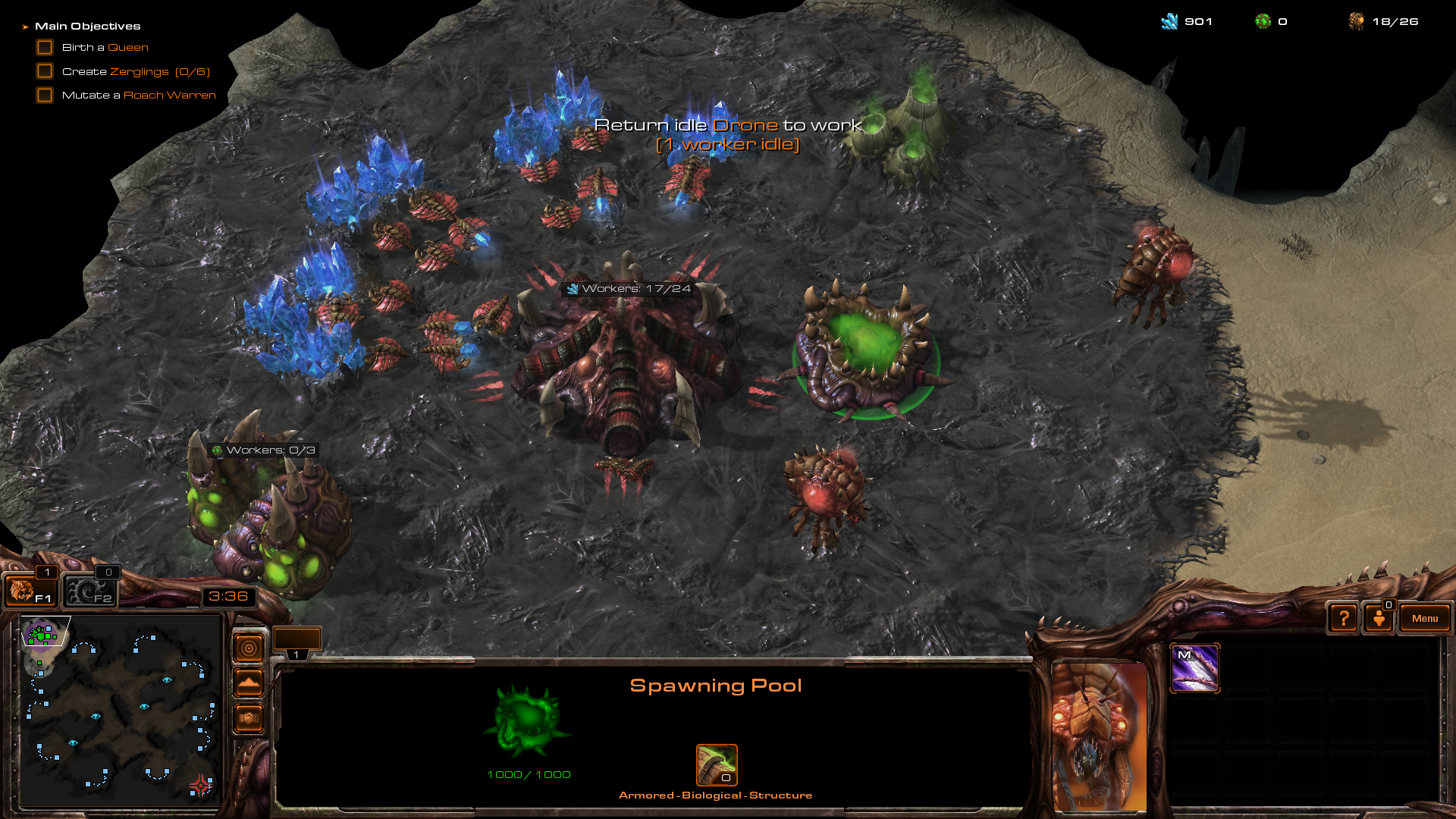 Video Game StarCraft Ii Heart Of The Swarm 1920x1080