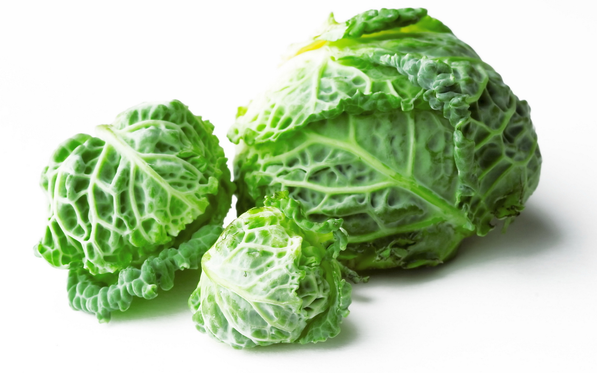 Food Cabbage 1920x1200