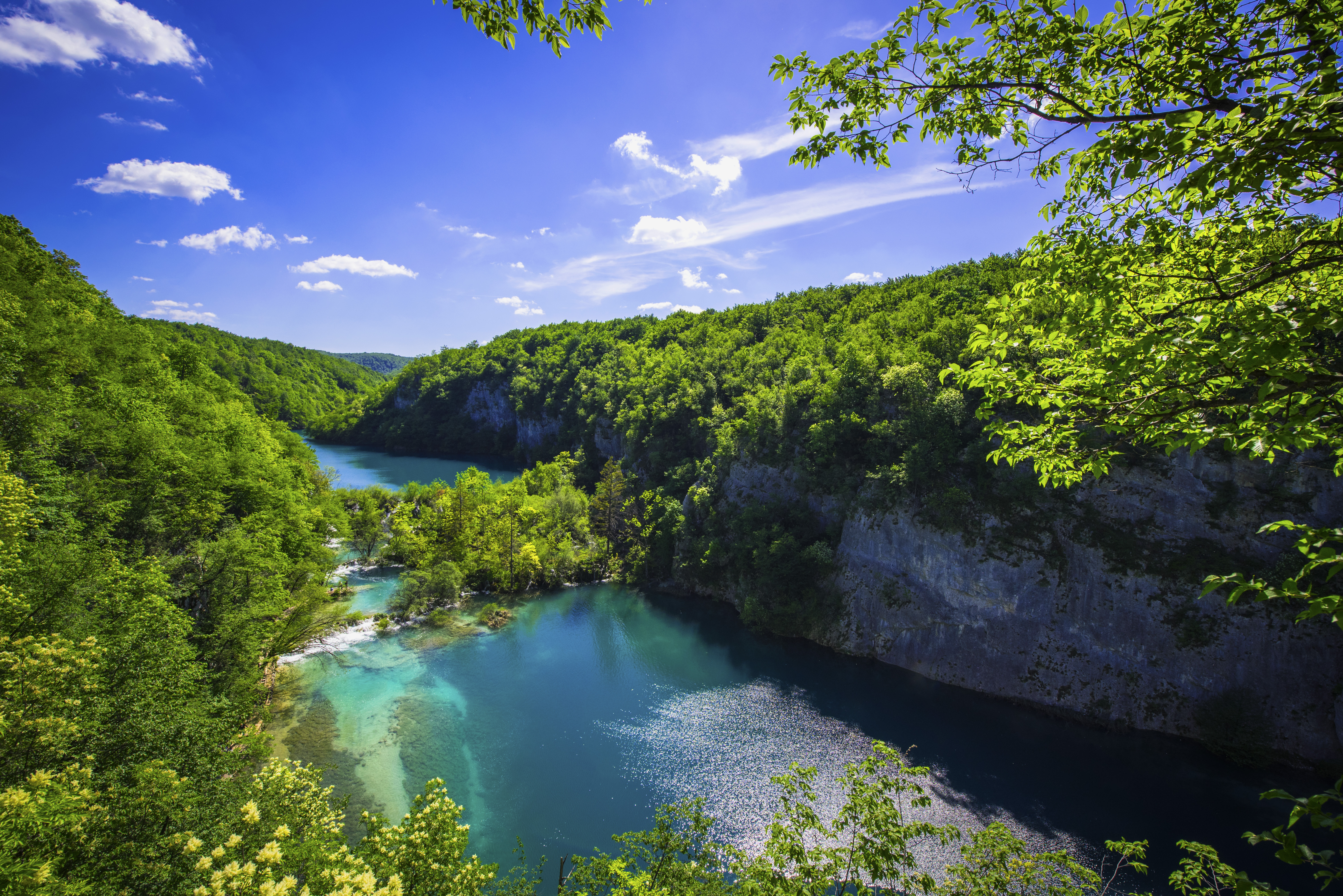 Plitvice Lake National Park Plitvice Lake Tree Green 6016x4016